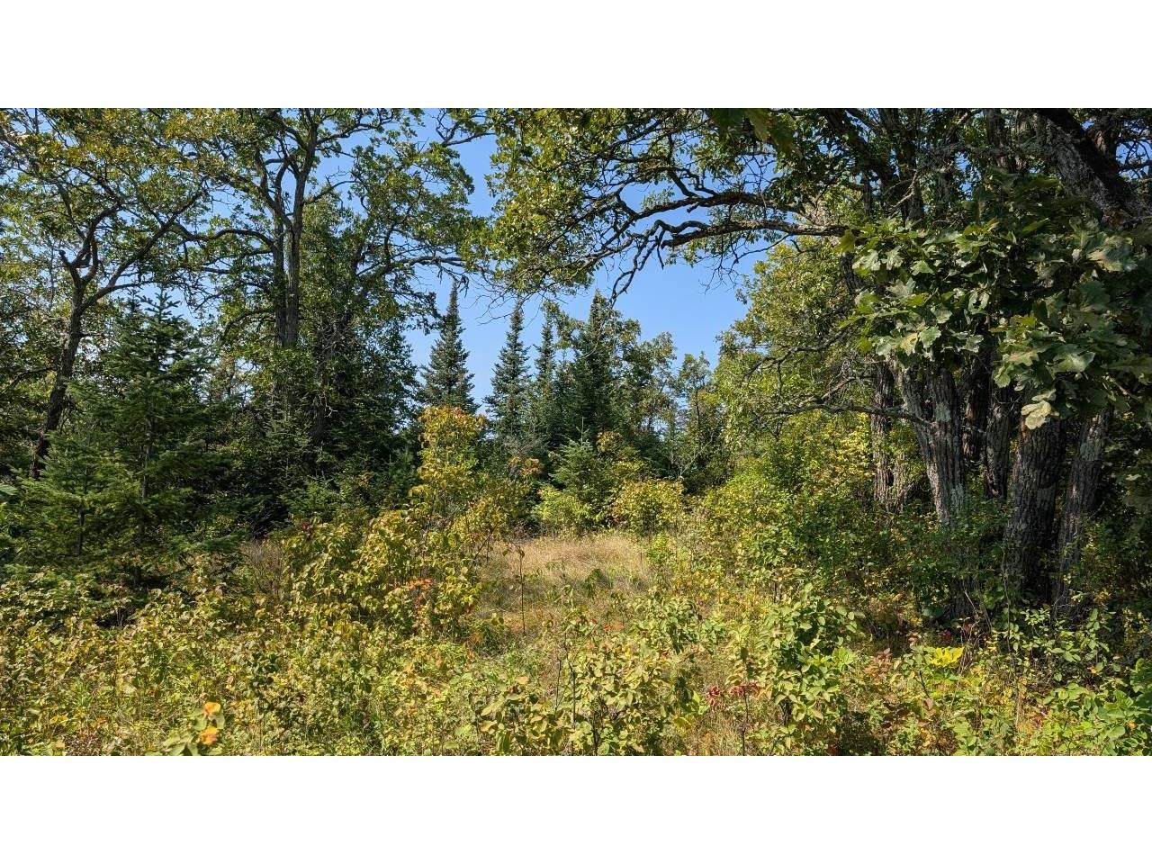 TBD Lake Vermilion Tower MN 55790 - Vermilion 6121672 image5