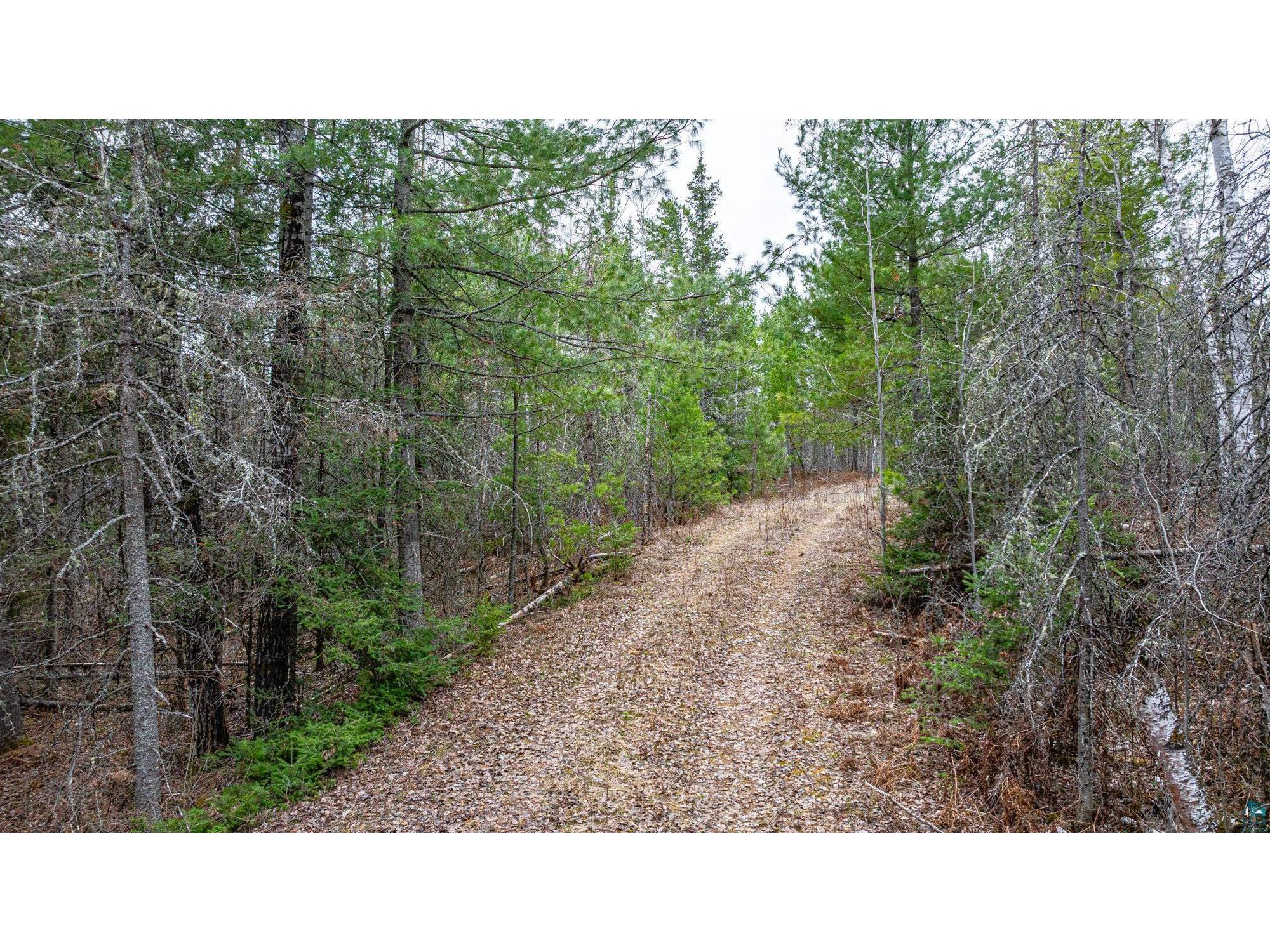 TBD Lindbeck Rd Ely MN 55731 6125106 image12