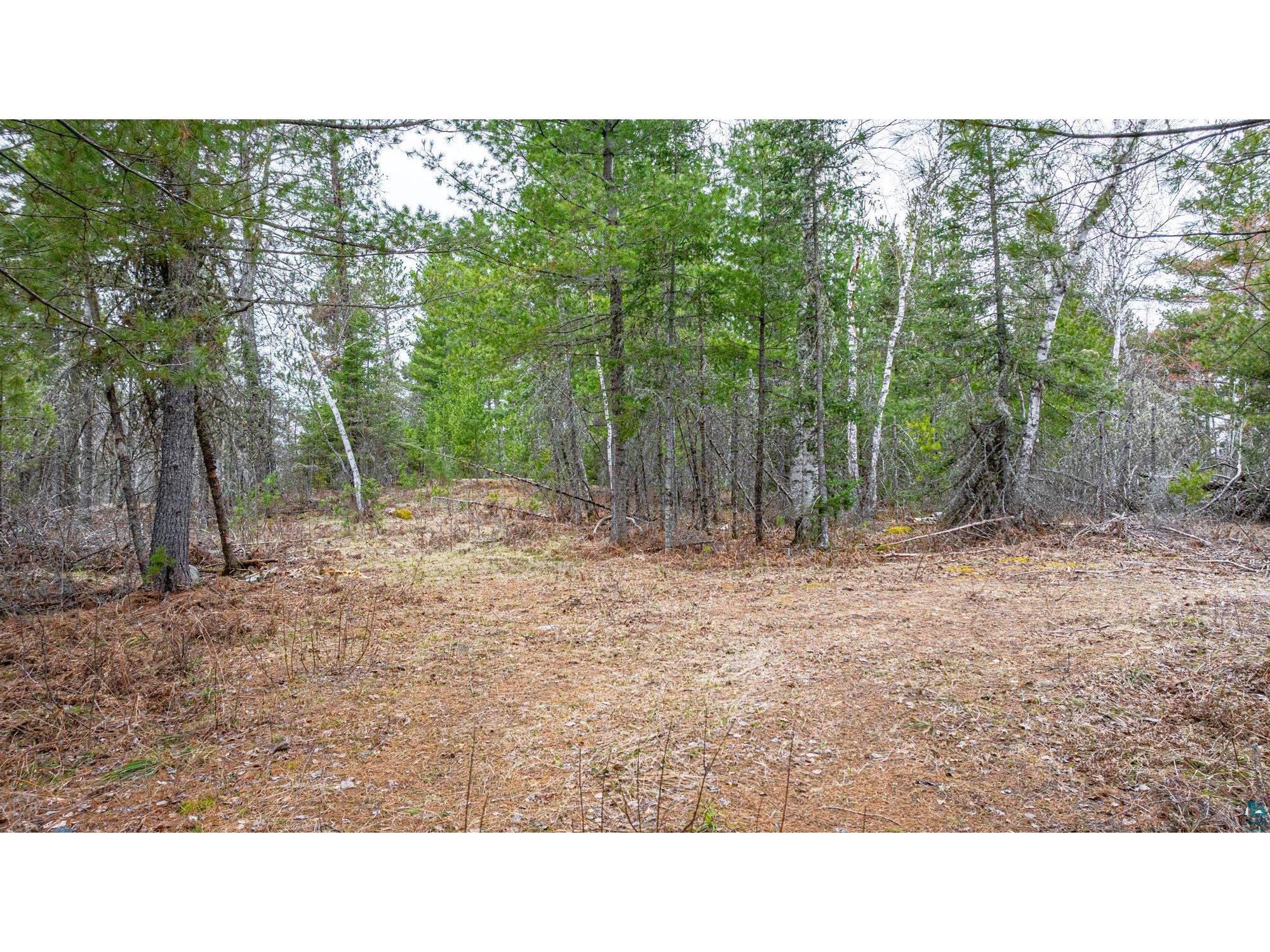TBD Lindbeck Rd Ely MN 55731 6125106 image13