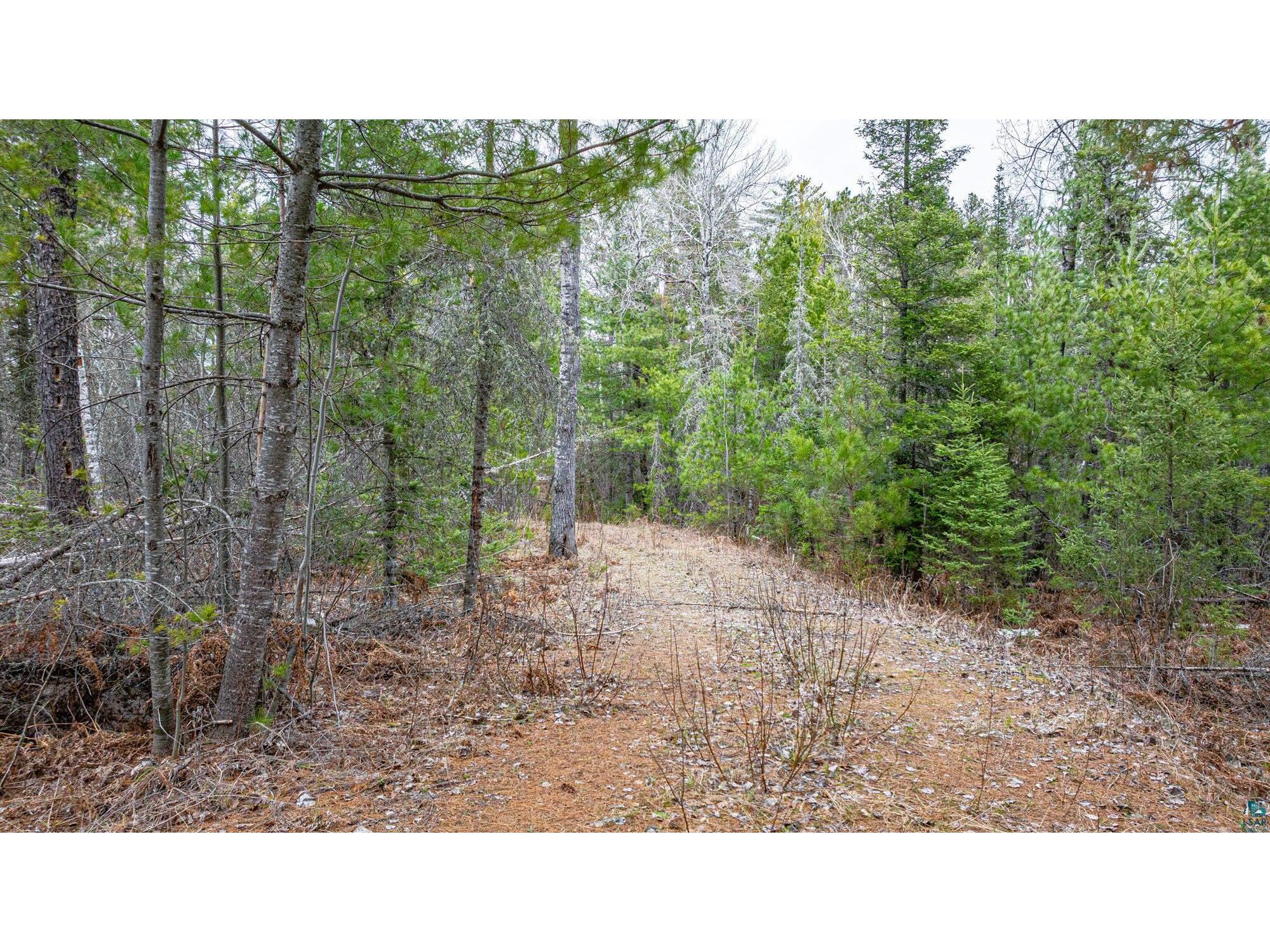 TBD Lindbeck Rd Ely MN 55731 6125106 image14