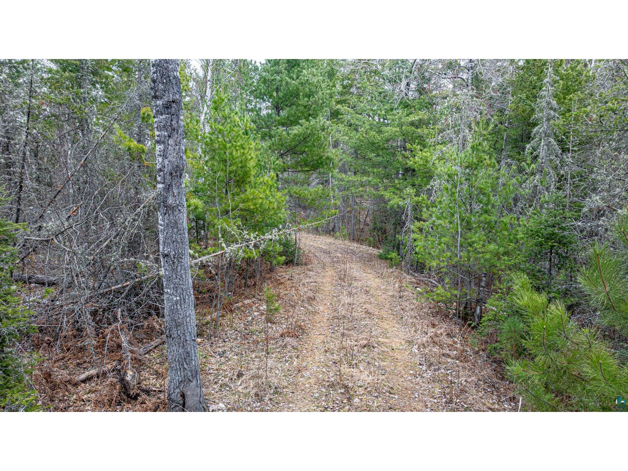 TBD Lindbeck Rd Ely MN 55731 6125106 image15