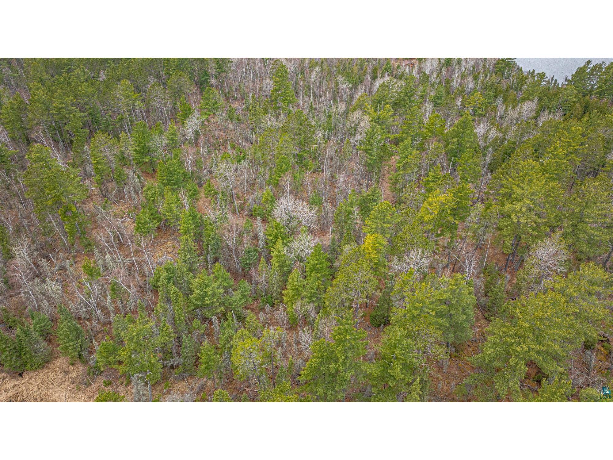 TBD Lindbeck Rd Ely MN 55731 6125106 image16