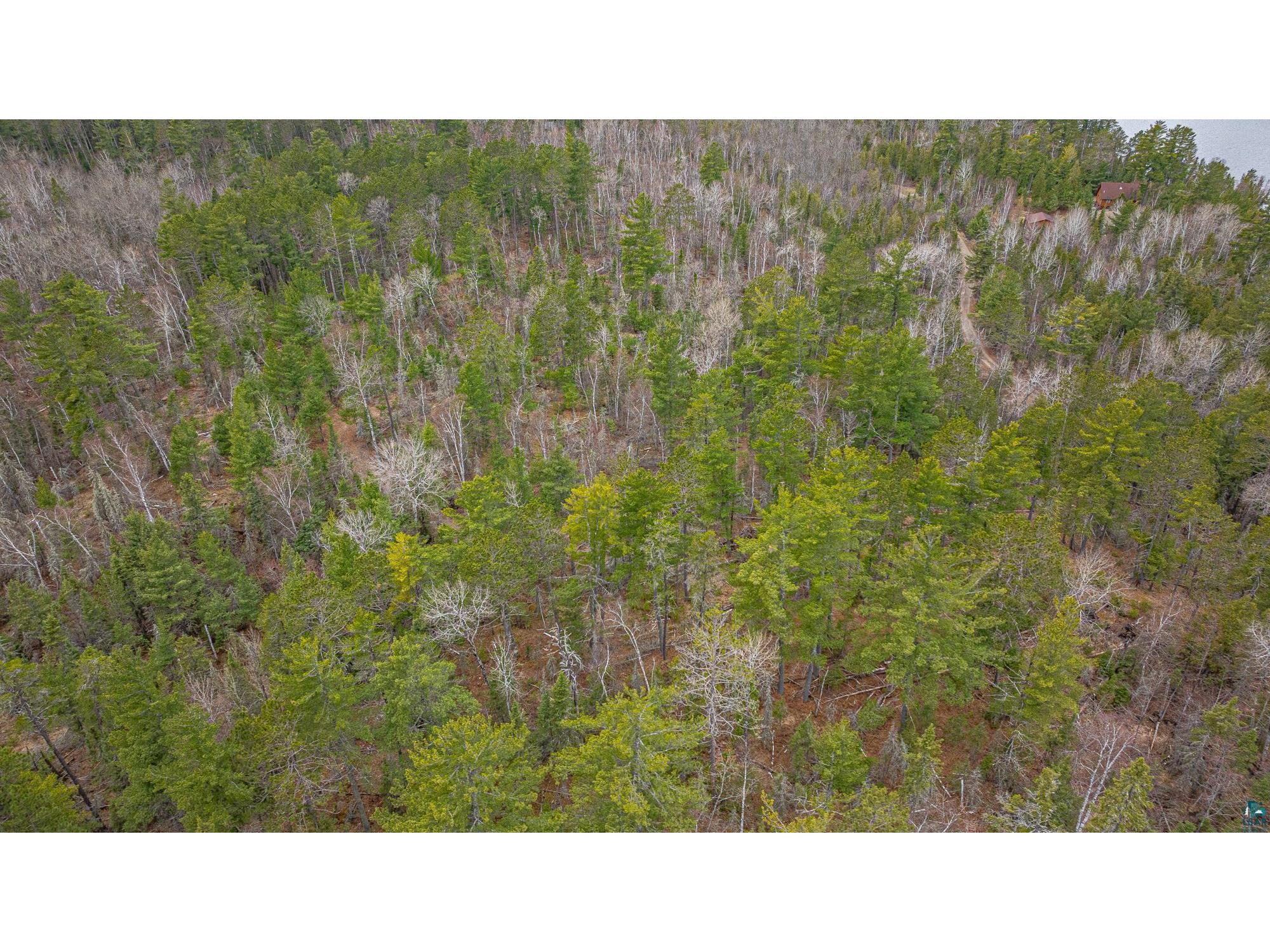 TBD Lindbeck Rd Ely MN 55731 6125106 image17
