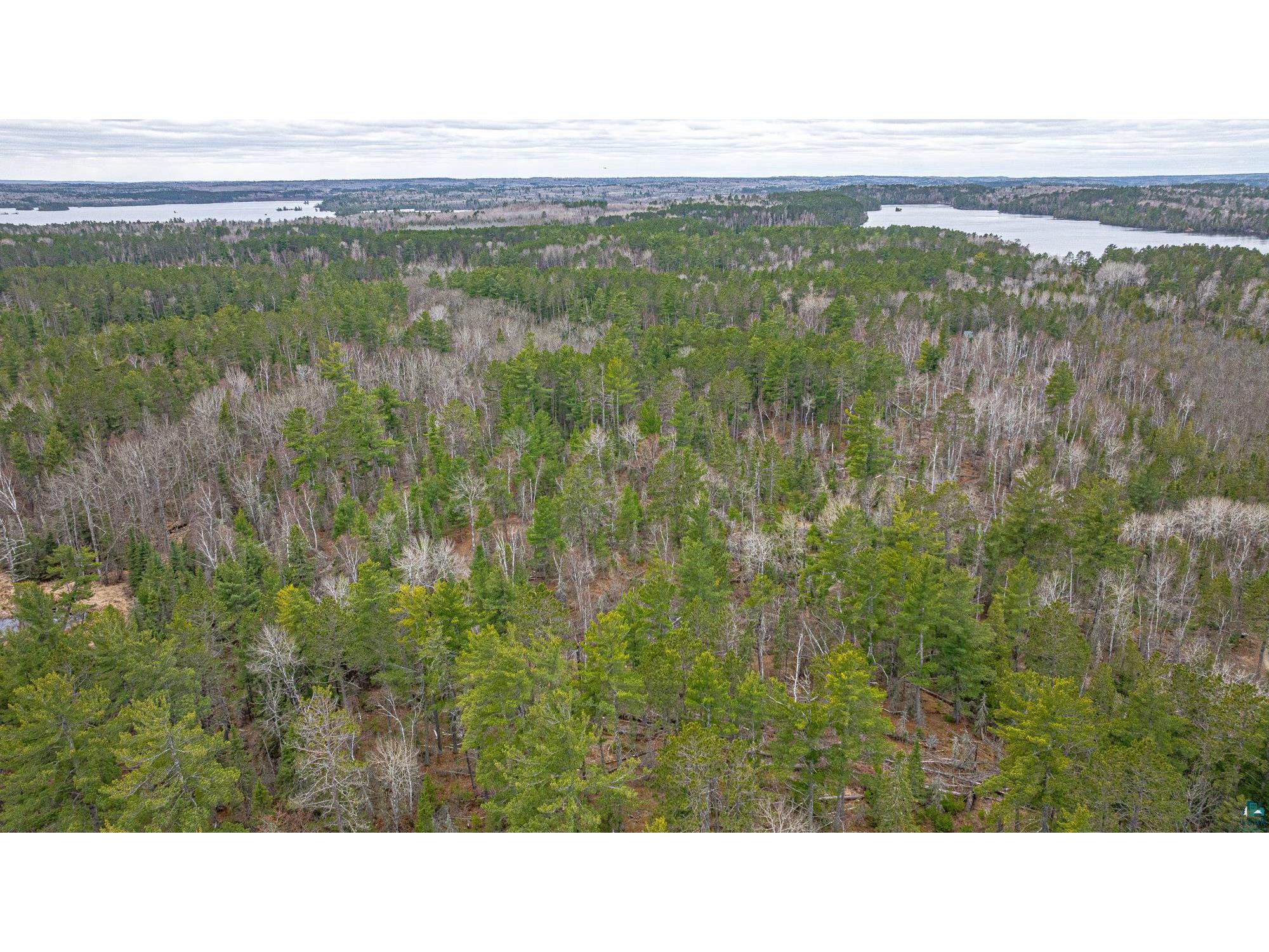 TBD Lindbeck Rd Ely MN 55731 6125106 image18