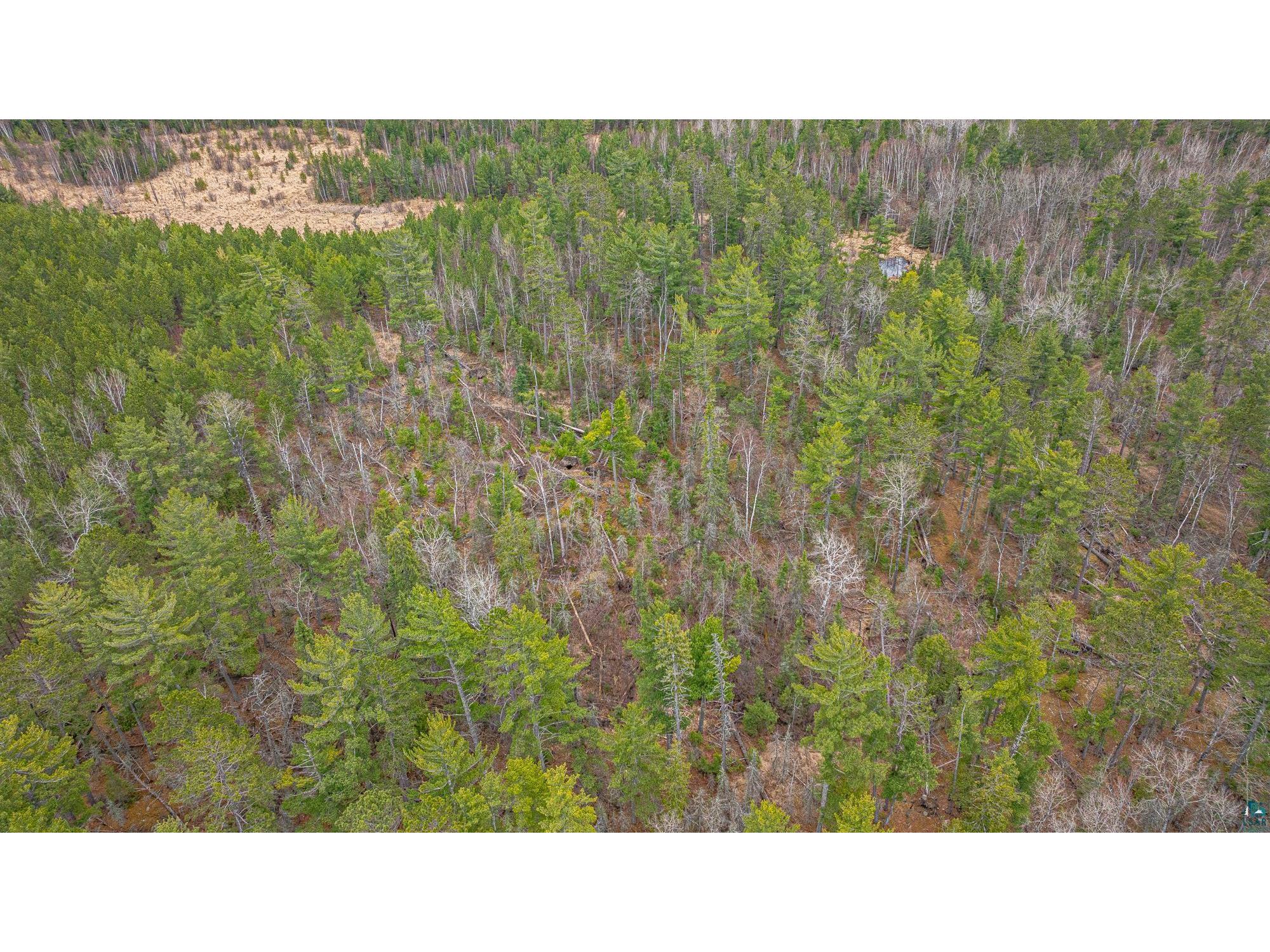TBD Lindbeck Rd Ely MN 55731 6125106 image20