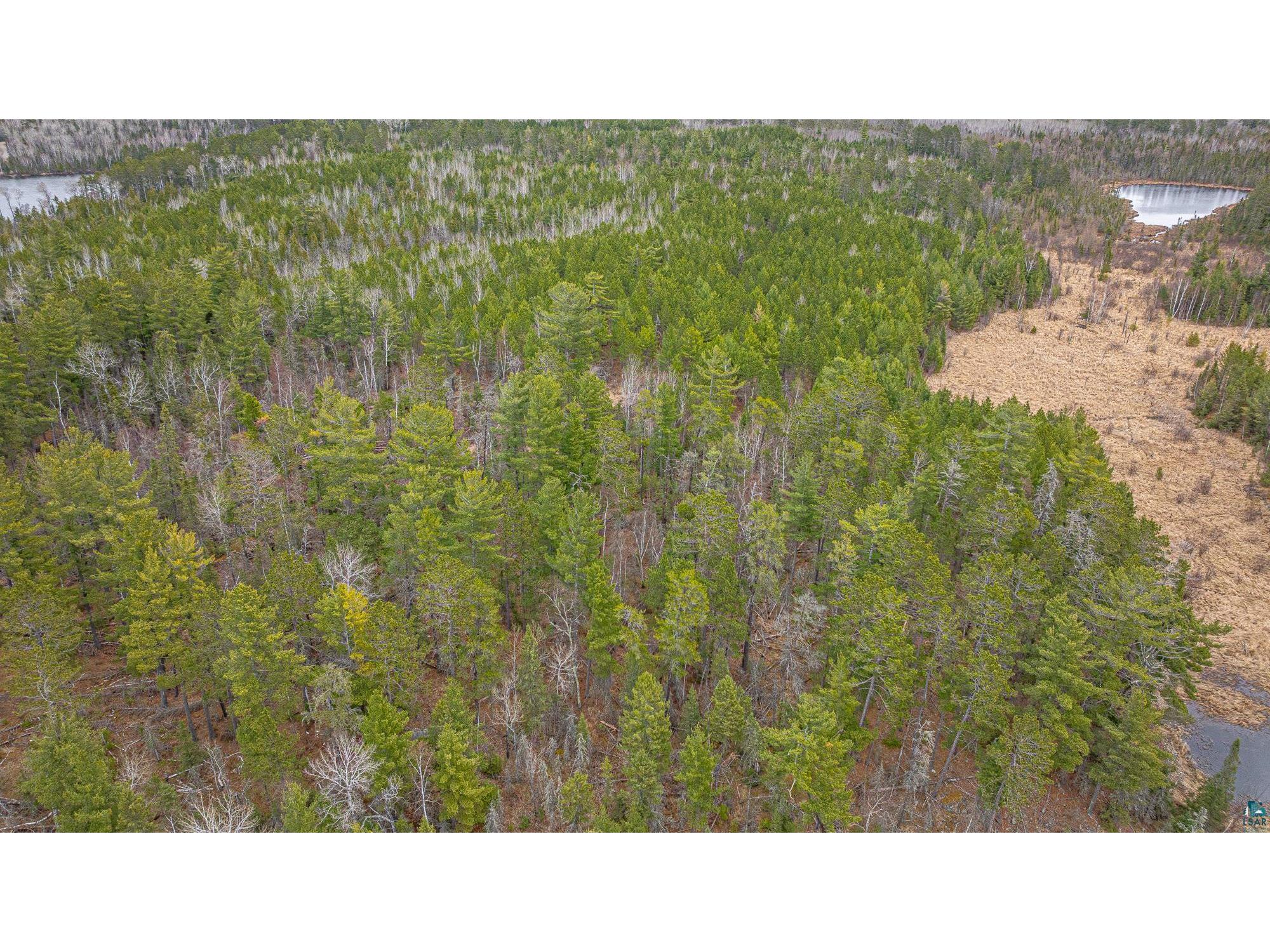 TBD Lindbeck Rd Ely MN 55731 6125106 image23