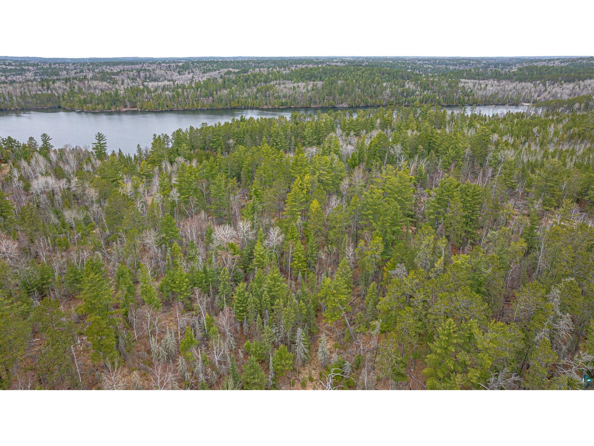 TBD Lindbeck Rd Ely MN 55731 6125106 image25