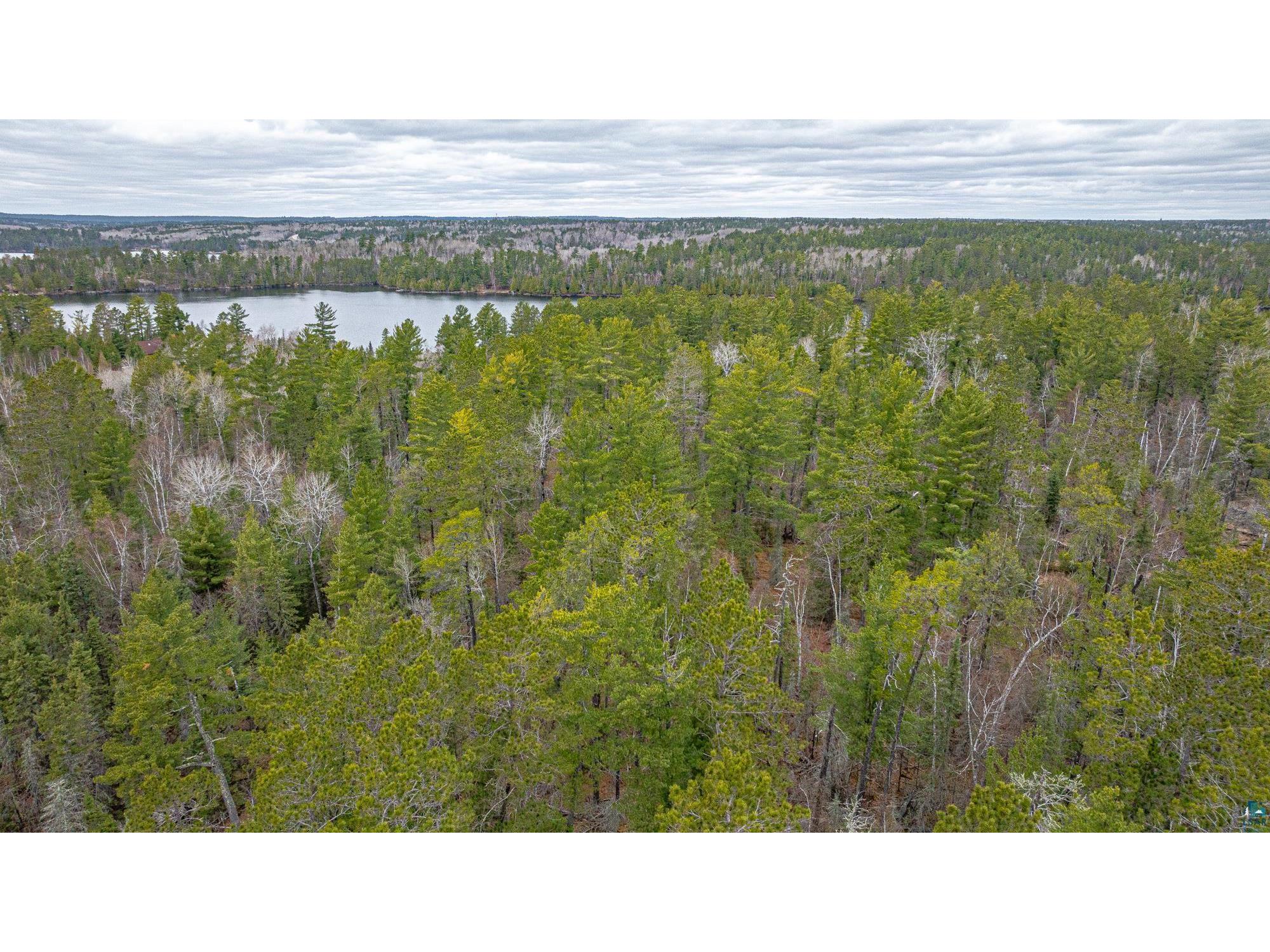 TBD Lindbeck Rd Ely MN 55731 6125106 image27