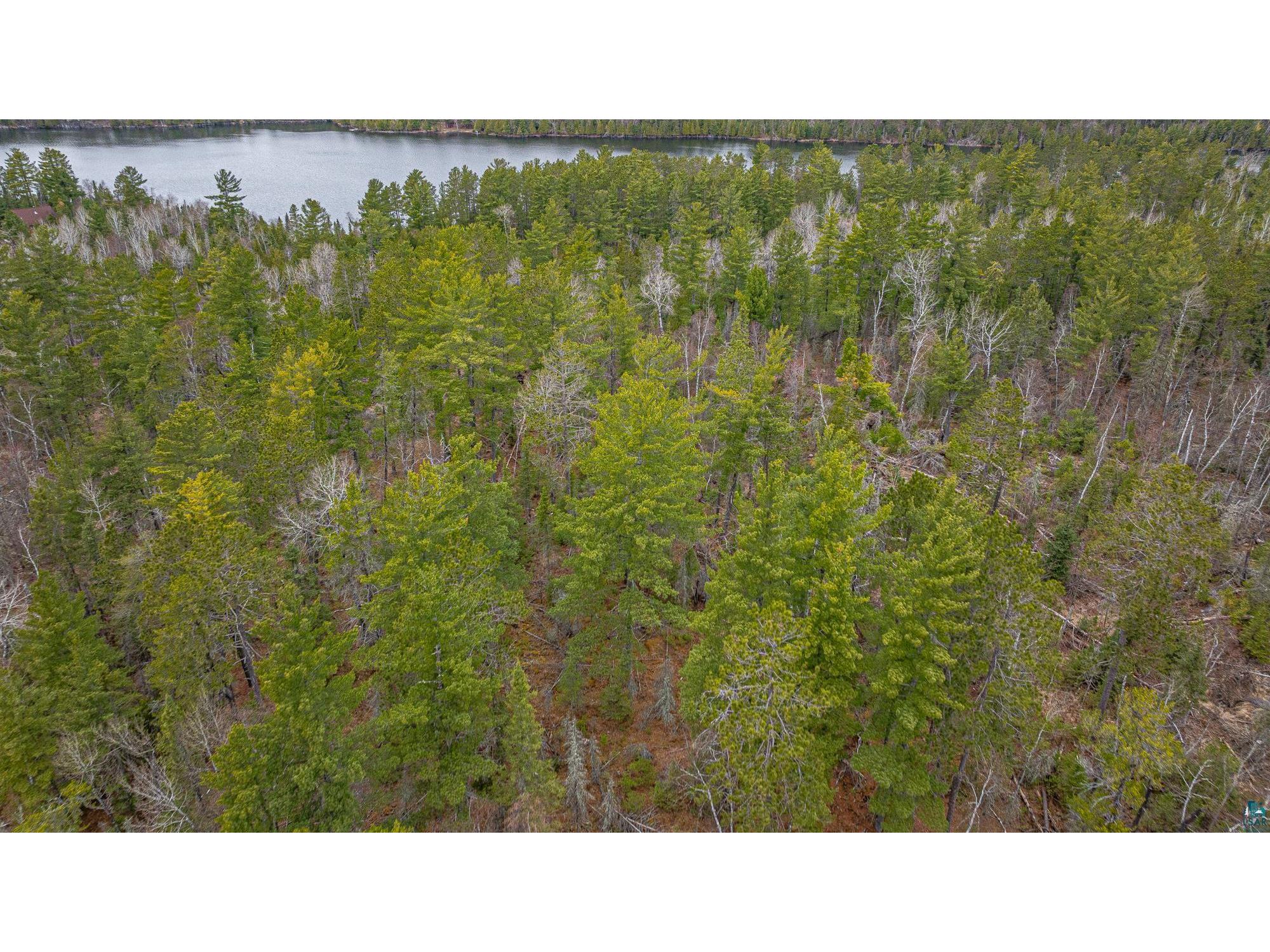 TBD Lindbeck Rd Ely MN 55731 6125106 image28
