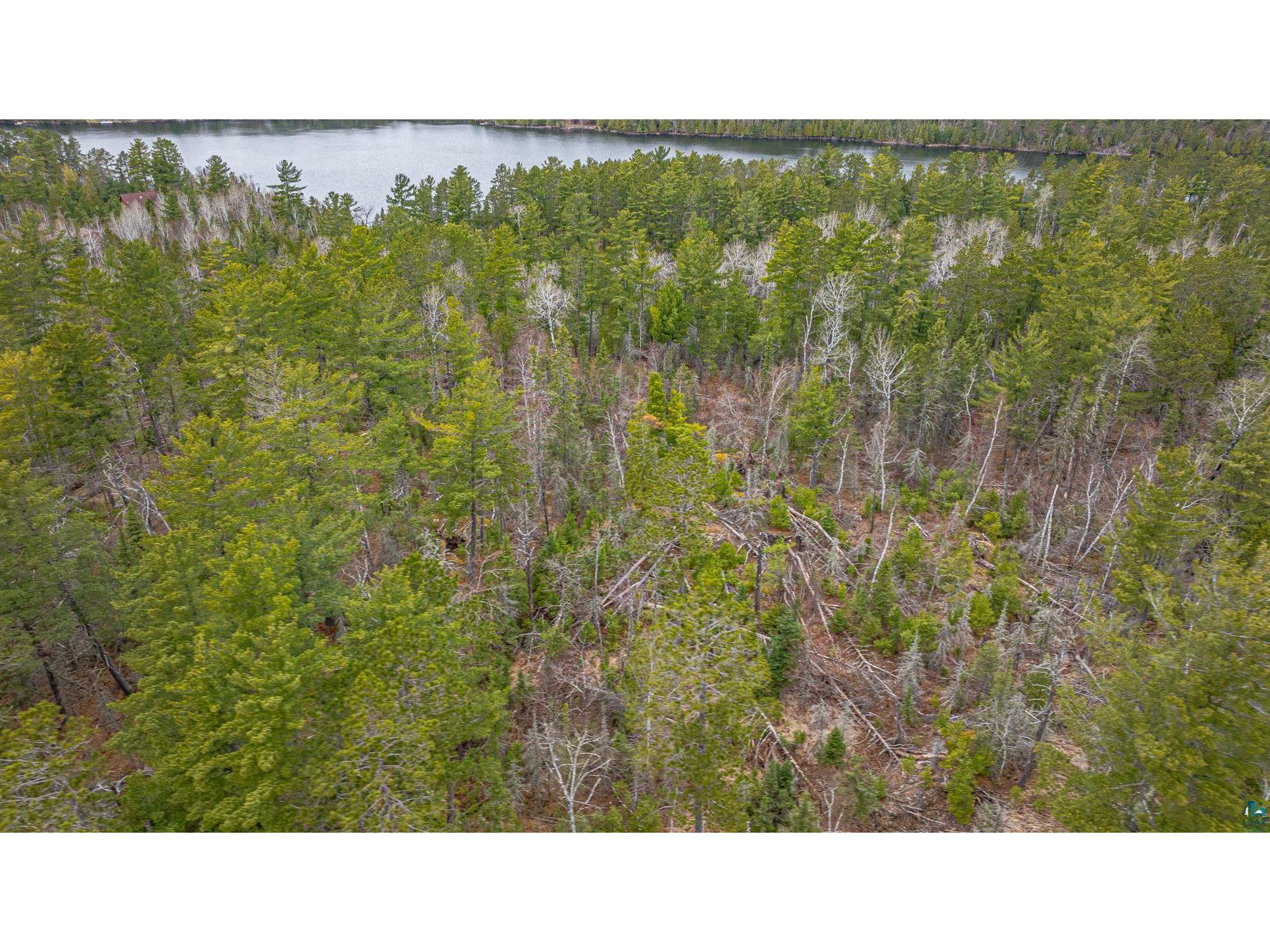 TBD Lindbeck Rd Ely MN 55731 6125106 image29