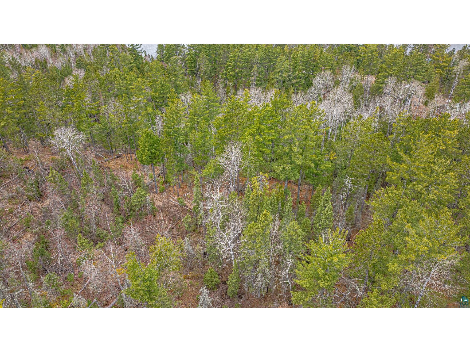 TBD Lindbeck Rd Ely MN 55731 6125106 image32