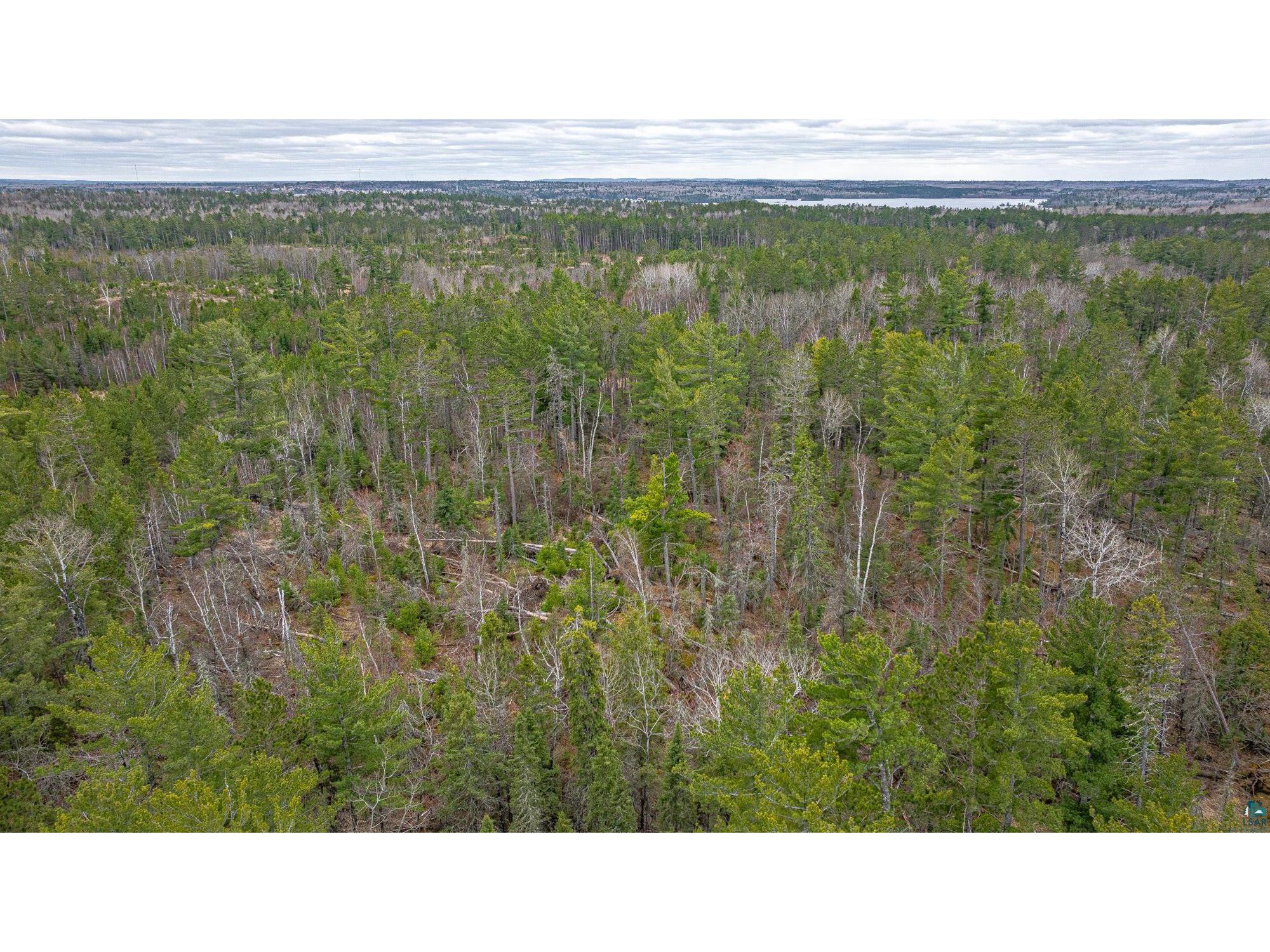 TBD Lindbeck Rd Ely MN 55731 6125106 image33