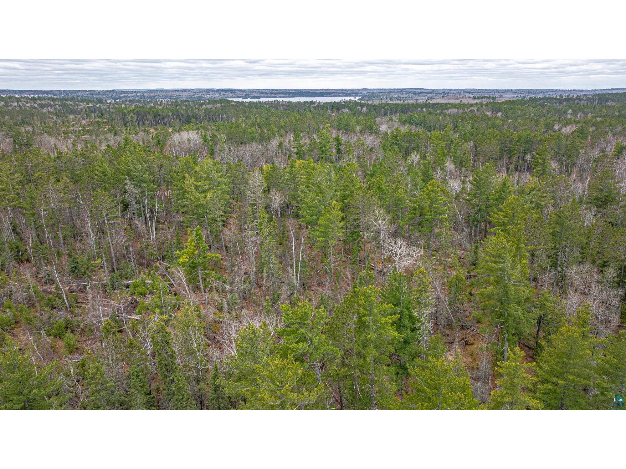 TBD Lindbeck Rd Ely MN 55731 6125106 image34