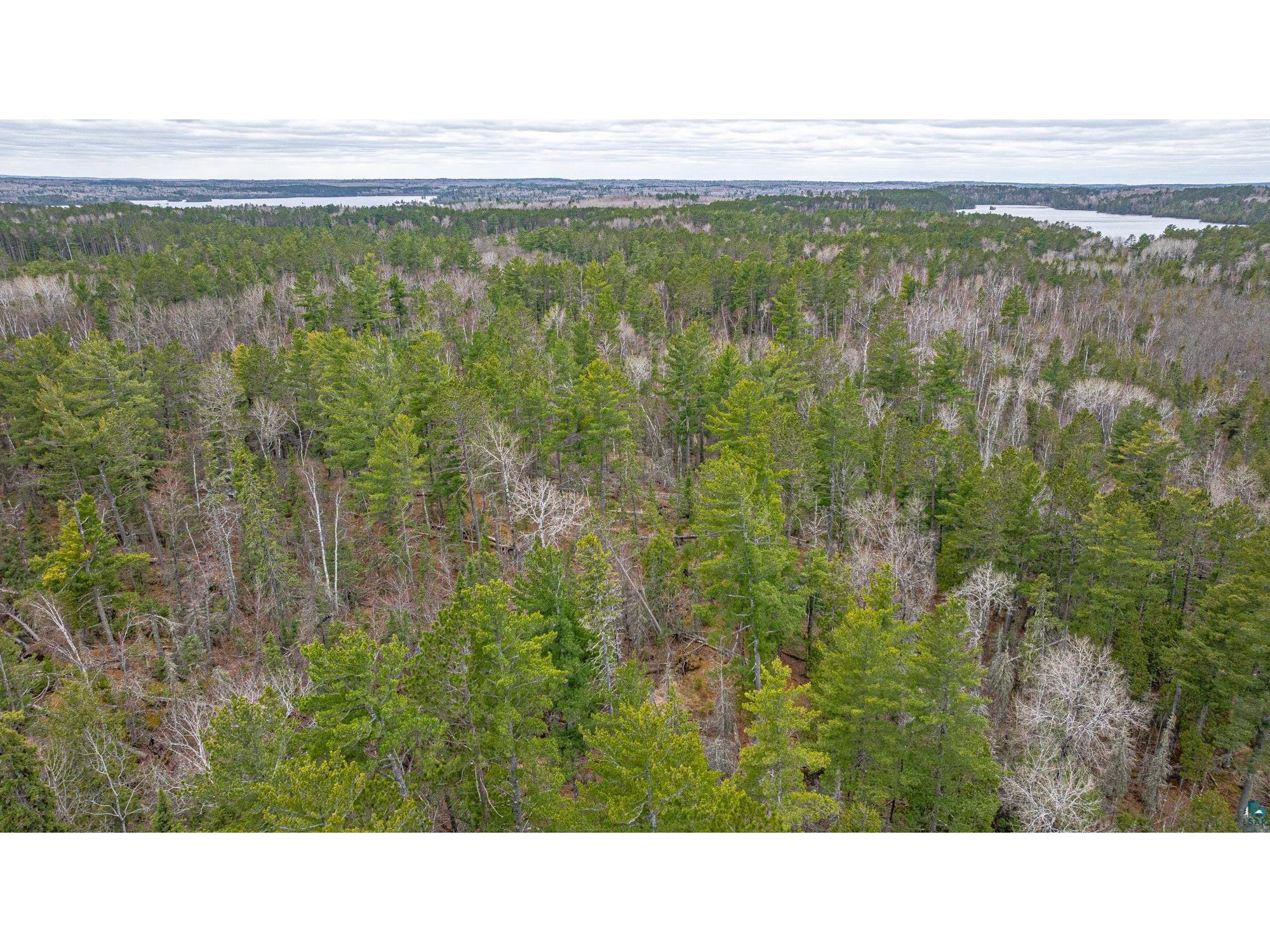 TBD Lindbeck Rd Ely MN 55731 6125106 image35