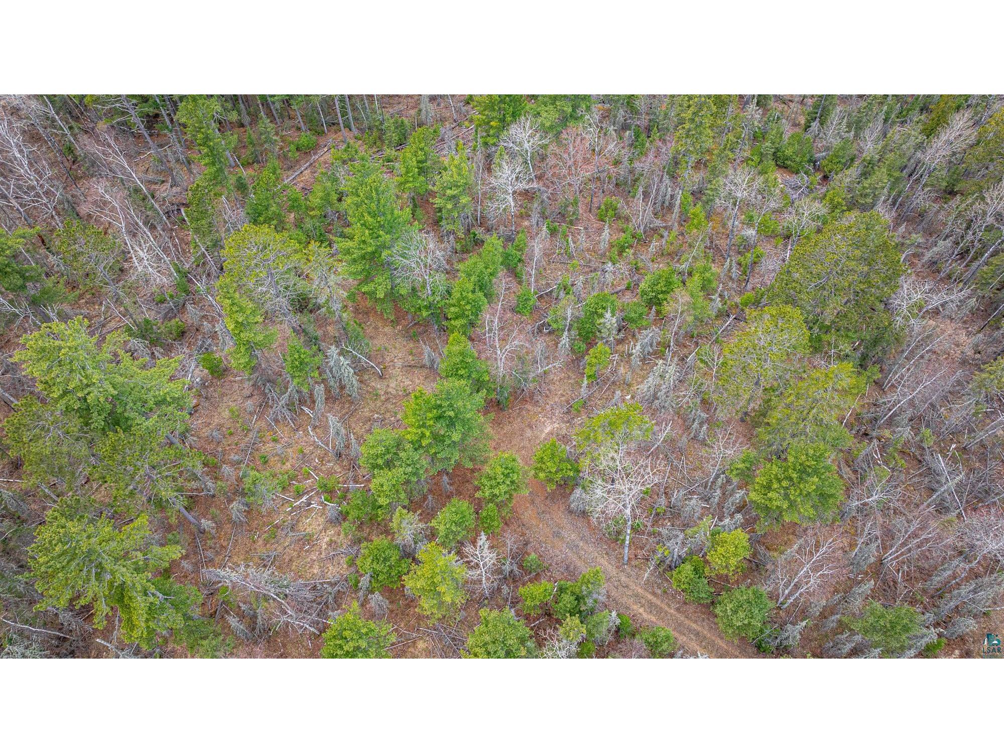 TBD Lindbeck Rd Ely MN 55731 6125106 image36
