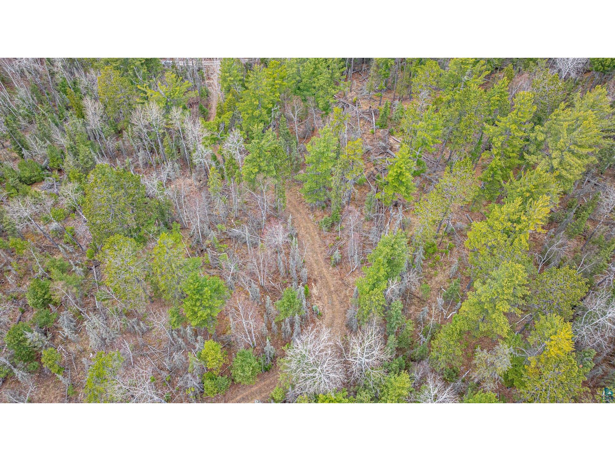 TBD Lindbeck Rd Ely MN 55731 6125106 image37