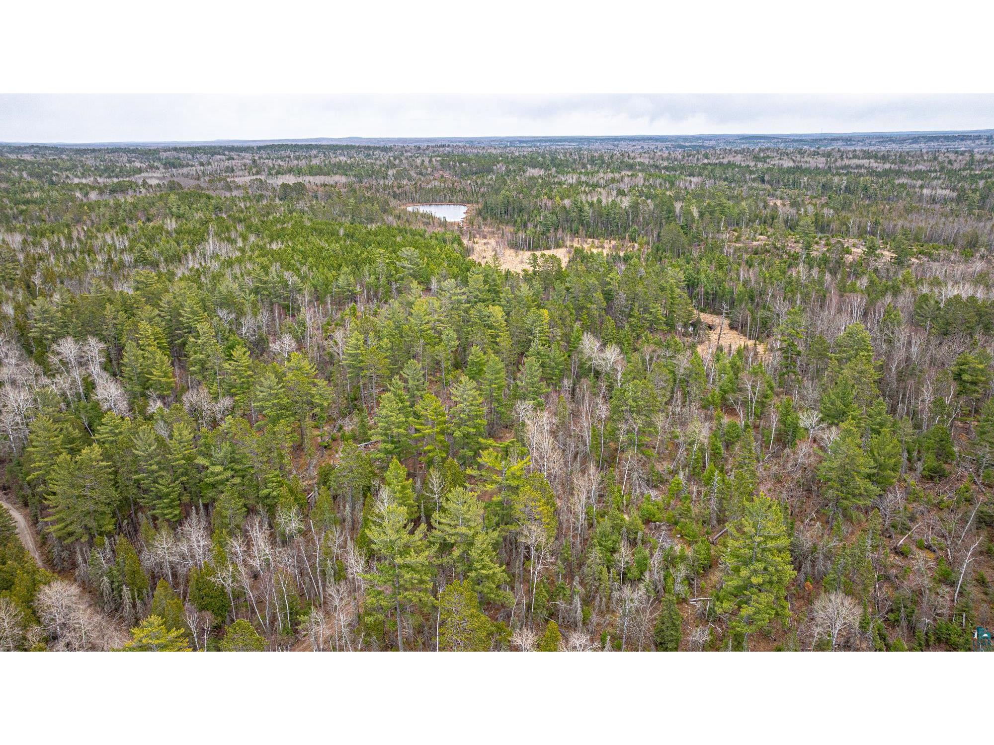 TBD Lindbeck Rd Ely MN 55731 6125106 image40