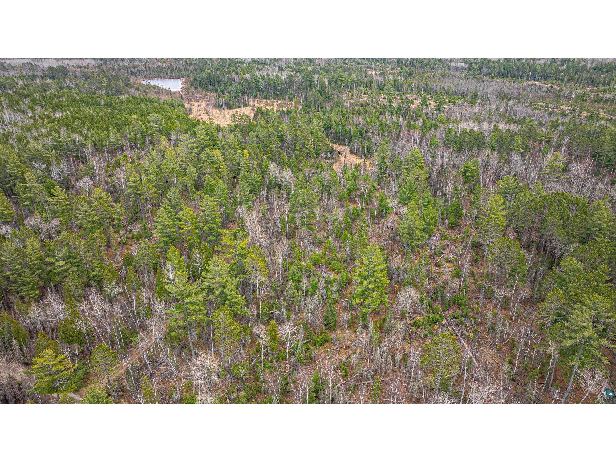 TBD Lindbeck Rd Ely MN 55731 6125106 image41