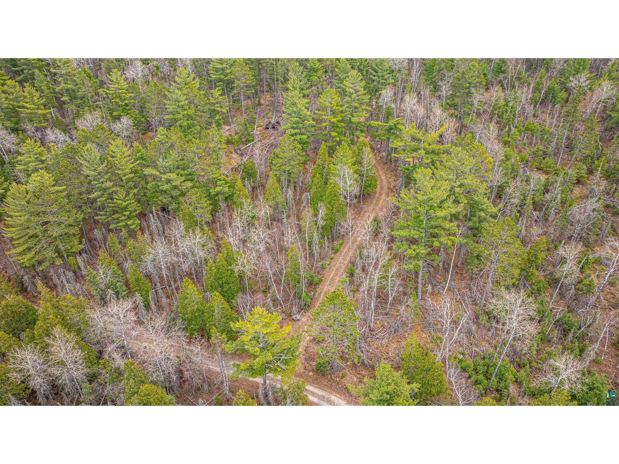 TBD Lindbeck Rd Ely MN 55731 6125106 image42