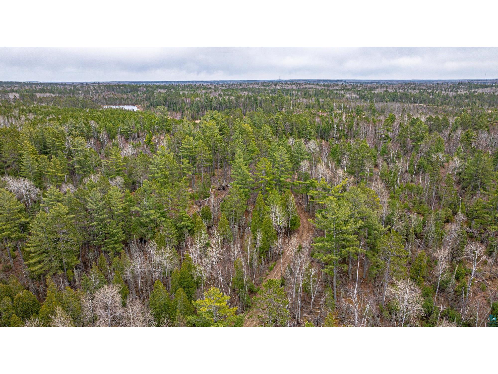 TBD Lindbeck Rd Ely MN 55731 6125106 image43
