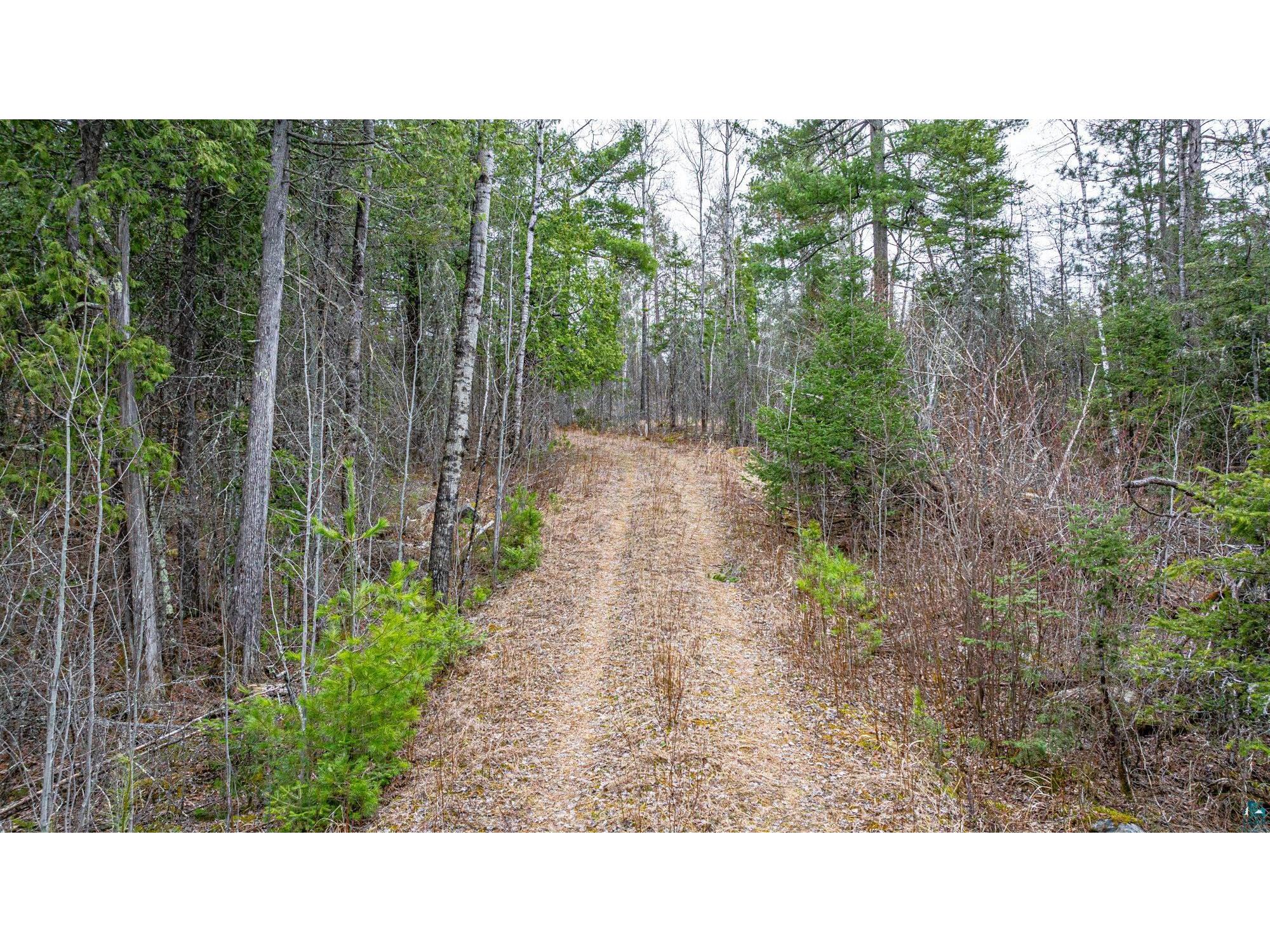 TBD Lindbeck Rd Ely MN 55731 6125106 image6