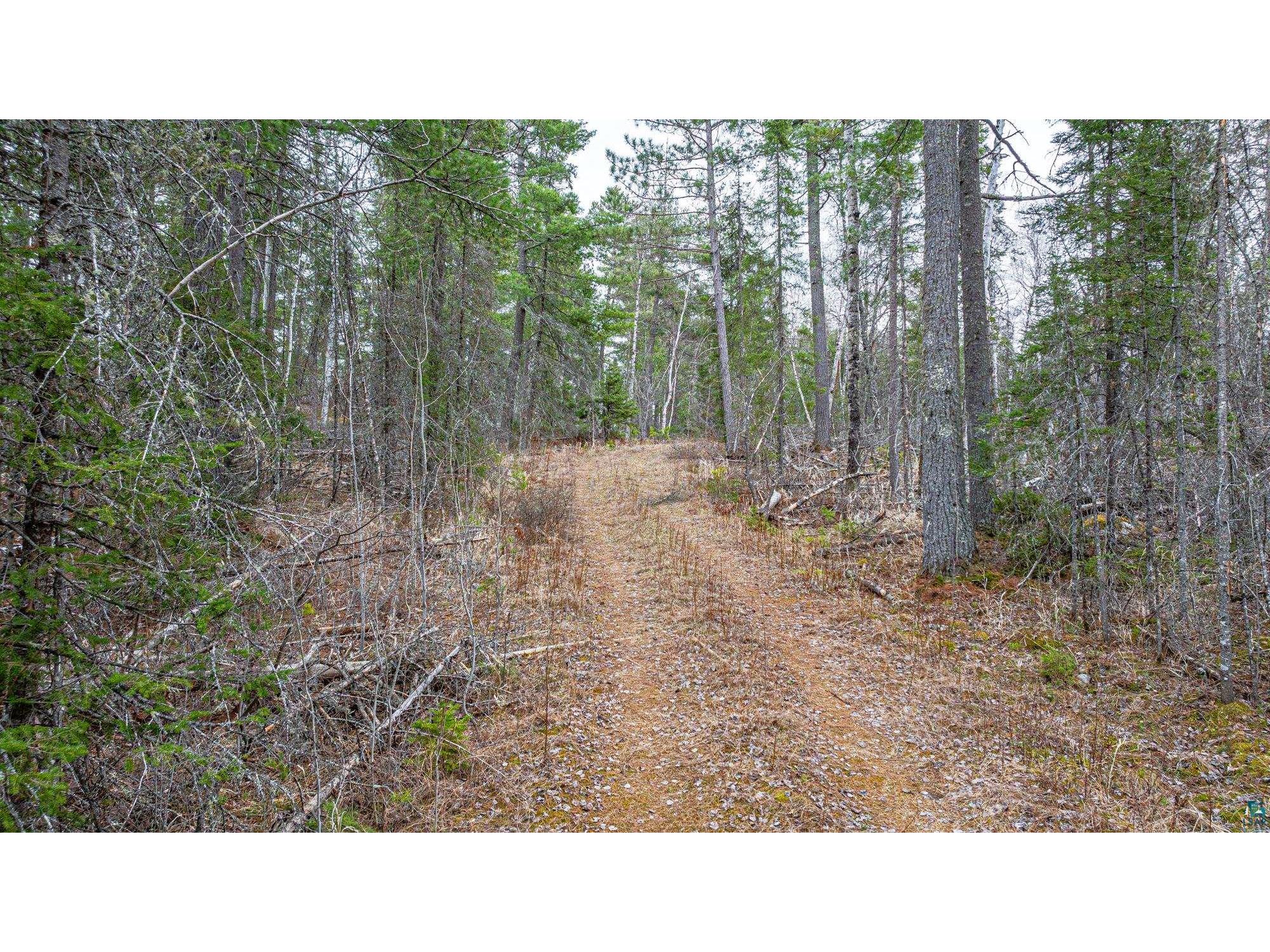 TBD Lindbeck Rd Ely MN 55731 6125106 image7