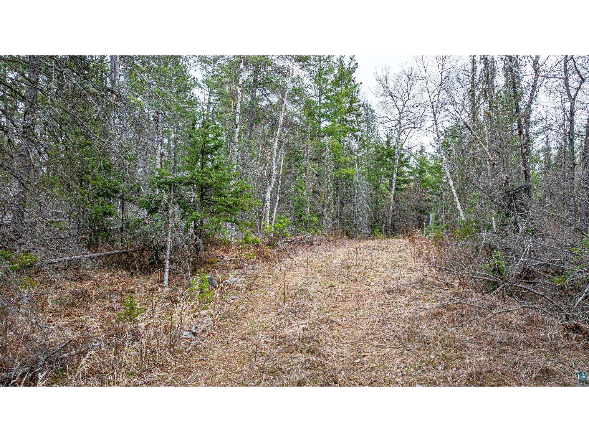 TBD Lindbeck Rd Ely MN 55731 6125106 image8