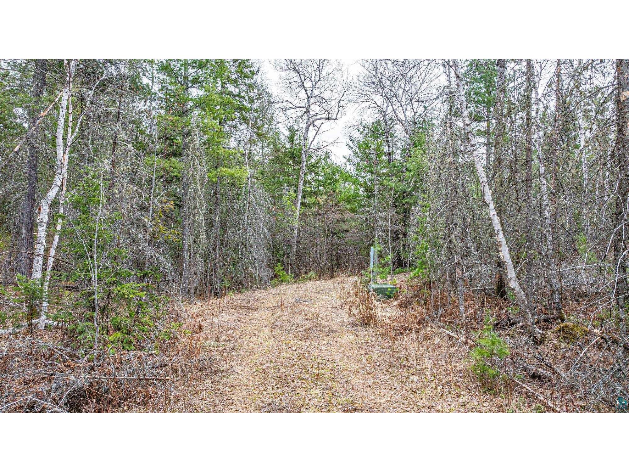 TBD Lindbeck Rd Ely MN 55731 6125106 image9