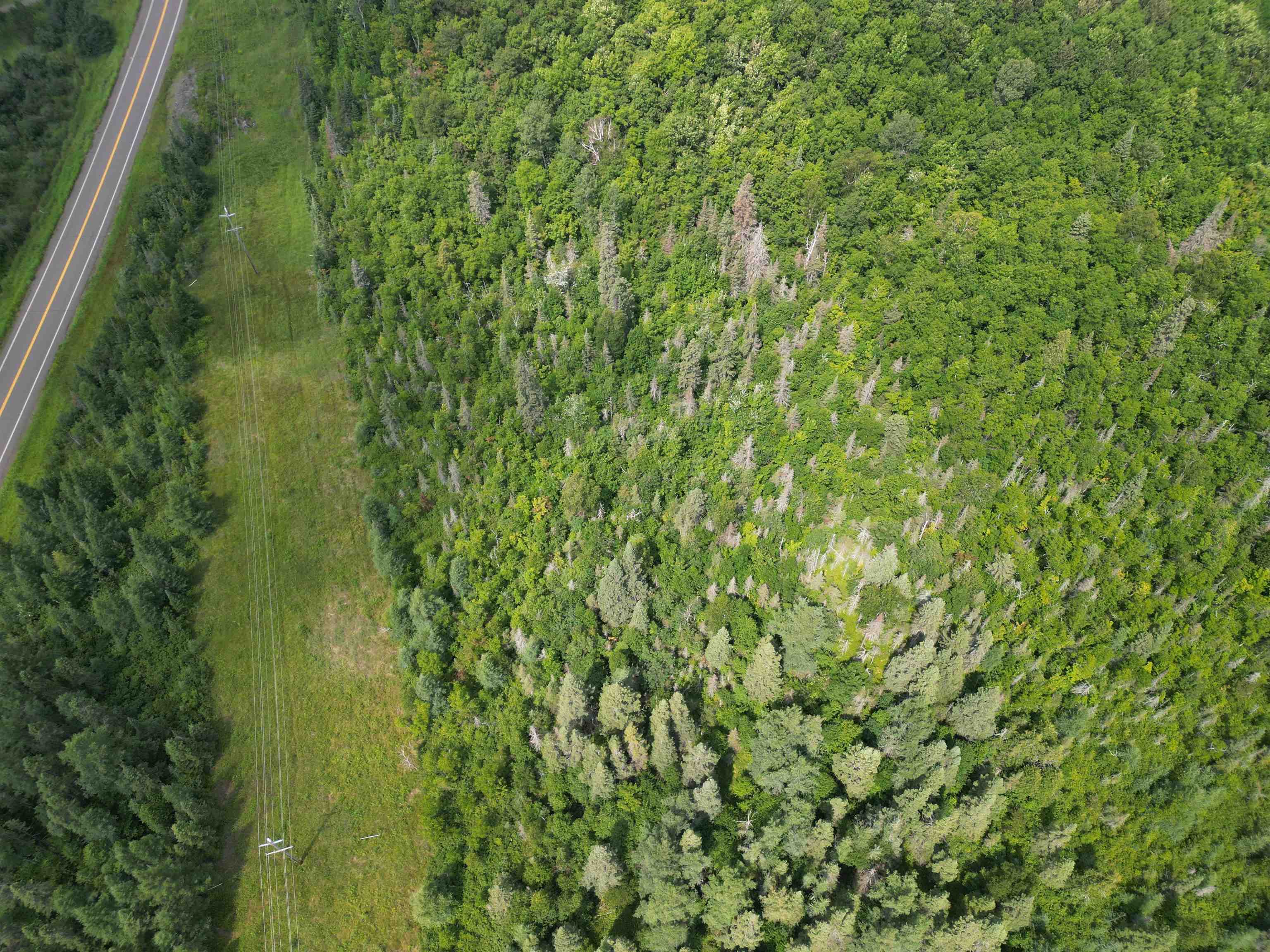 TBD Little Marais Rd Finland MN 55603 - Leskinen 6121130 image13