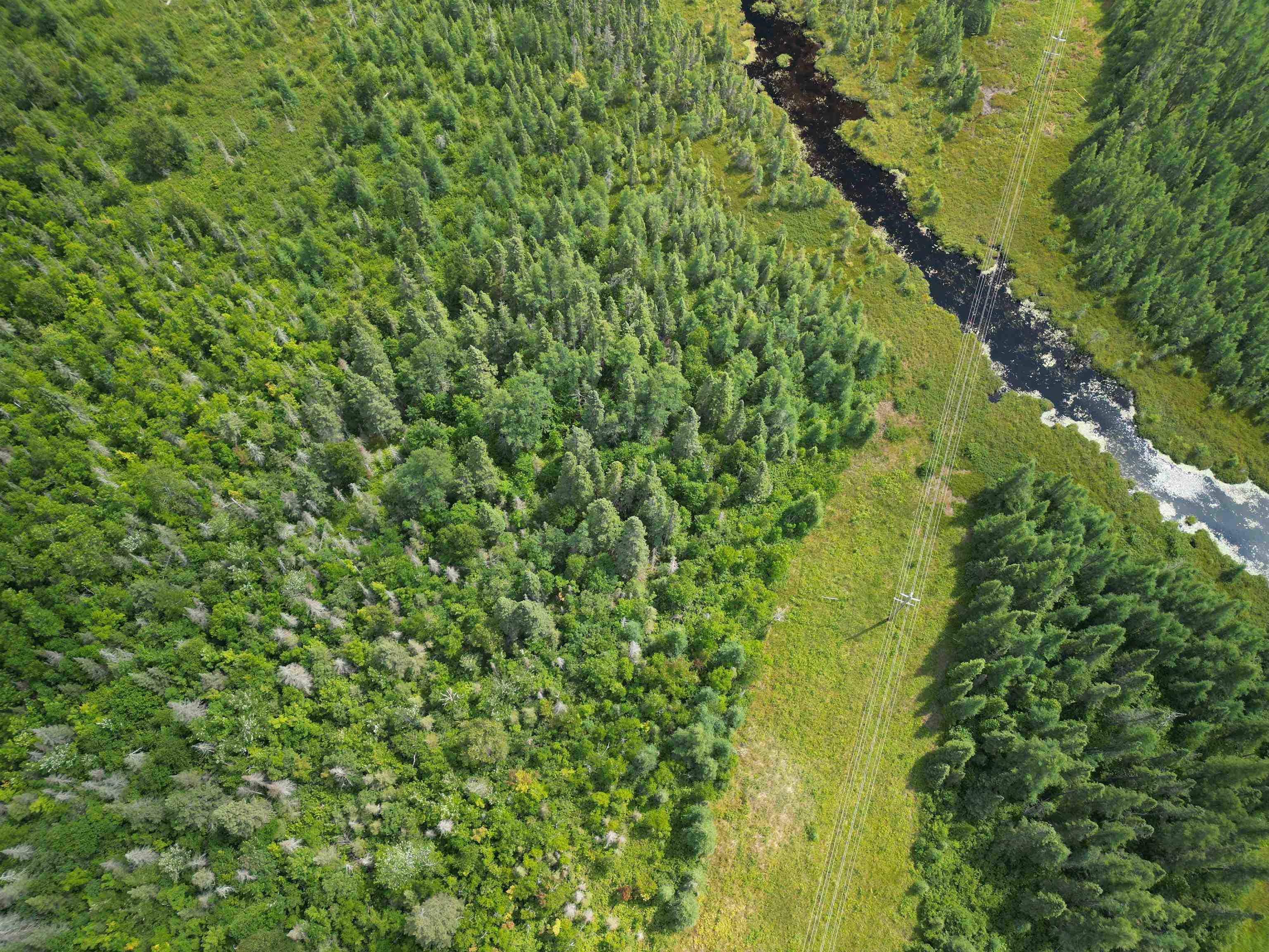 TBD Little Marais Rd Finland MN 55603 - Leskinen 6121130 image15