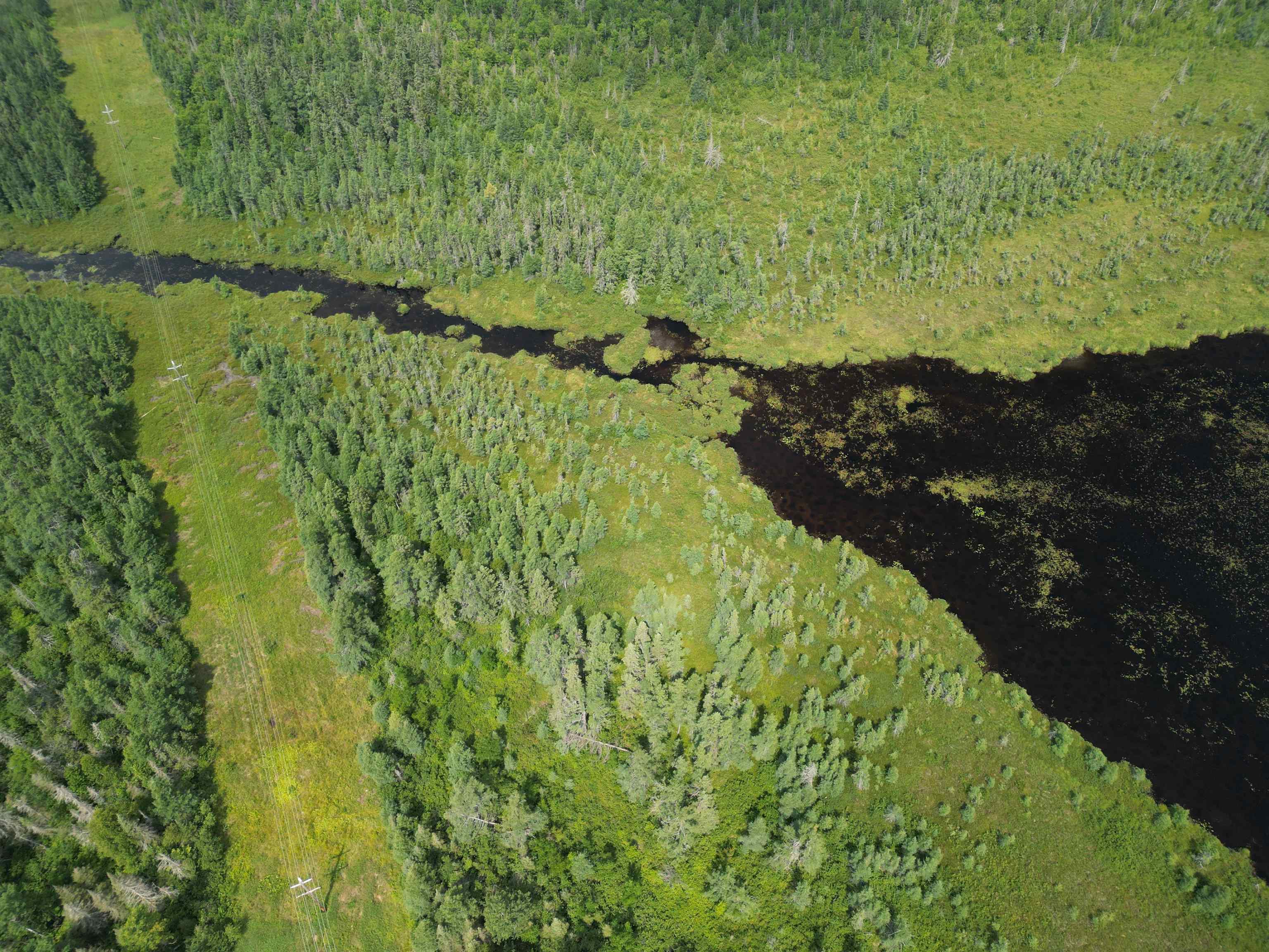 TBD Little Marais Rd Finland MN 55603 - Leskinen 6121130 image19