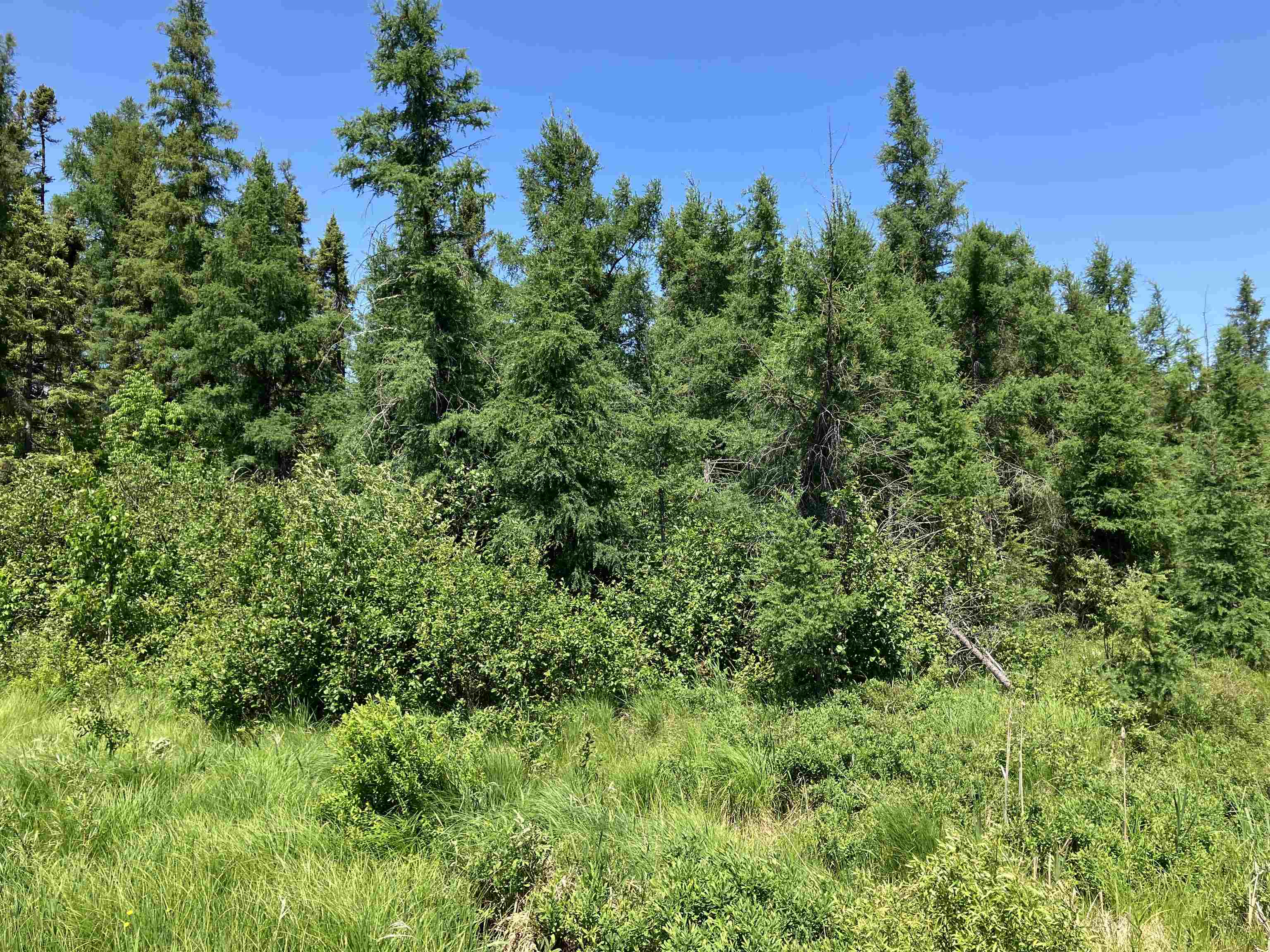 TBD Little Marais Rd Finland MN 55603 - Leskinen 6121130 image22