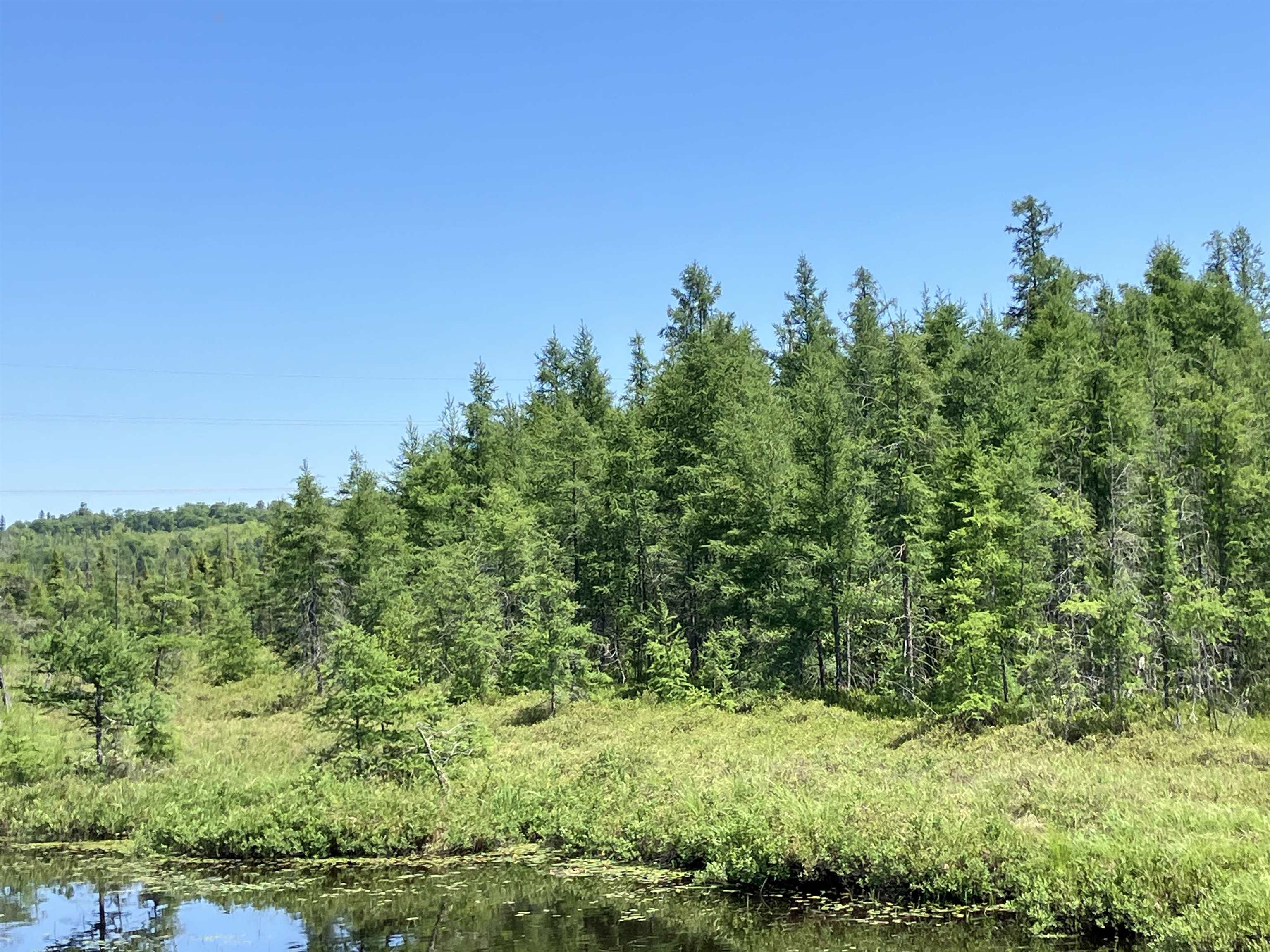 TBD Little Marais Rd Finland MN 55603 - Leskinen 6121130 image24