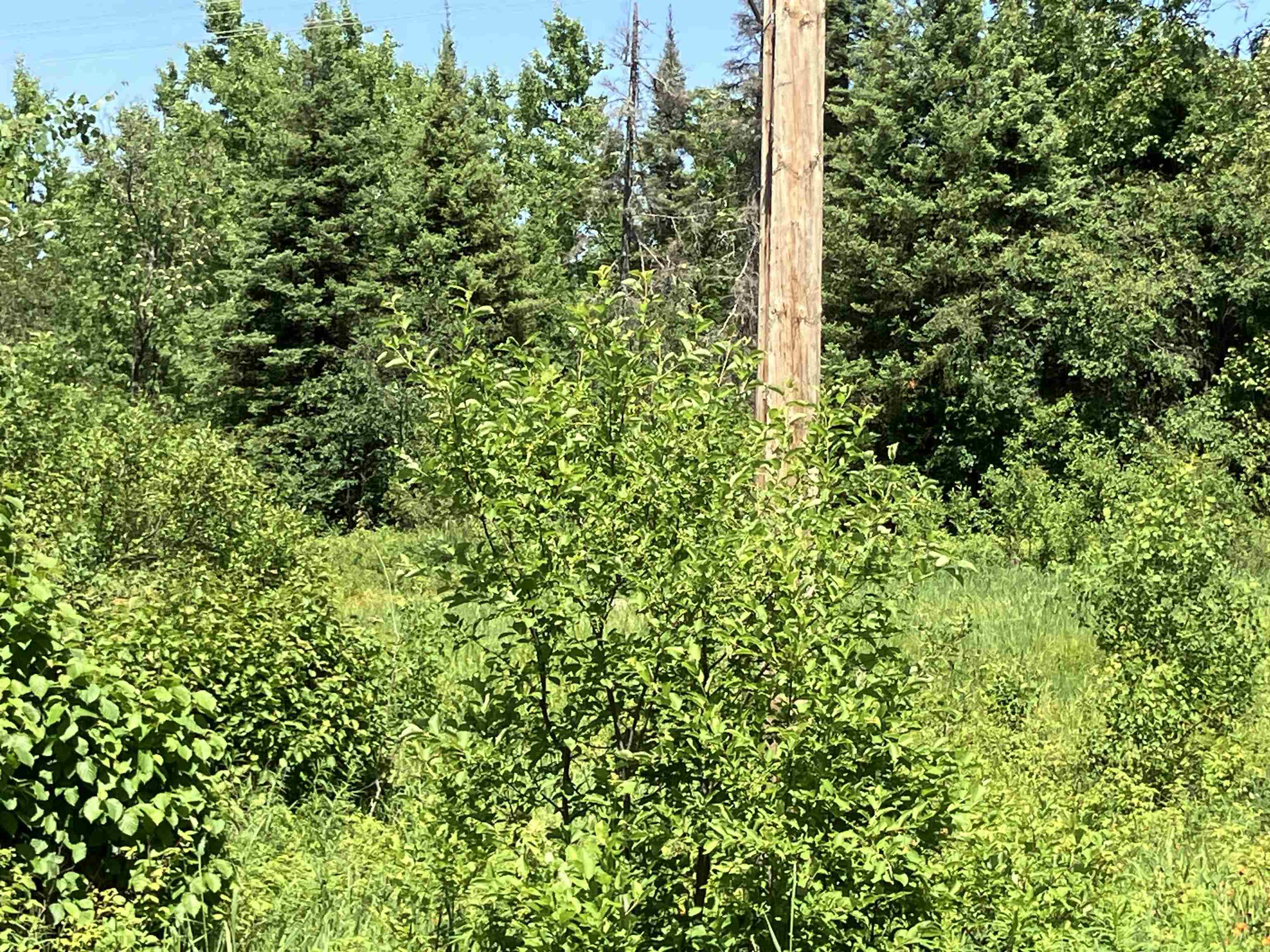 TBD Little Marais Rd Finland MN 55603 - Leskinen 6121130 image25