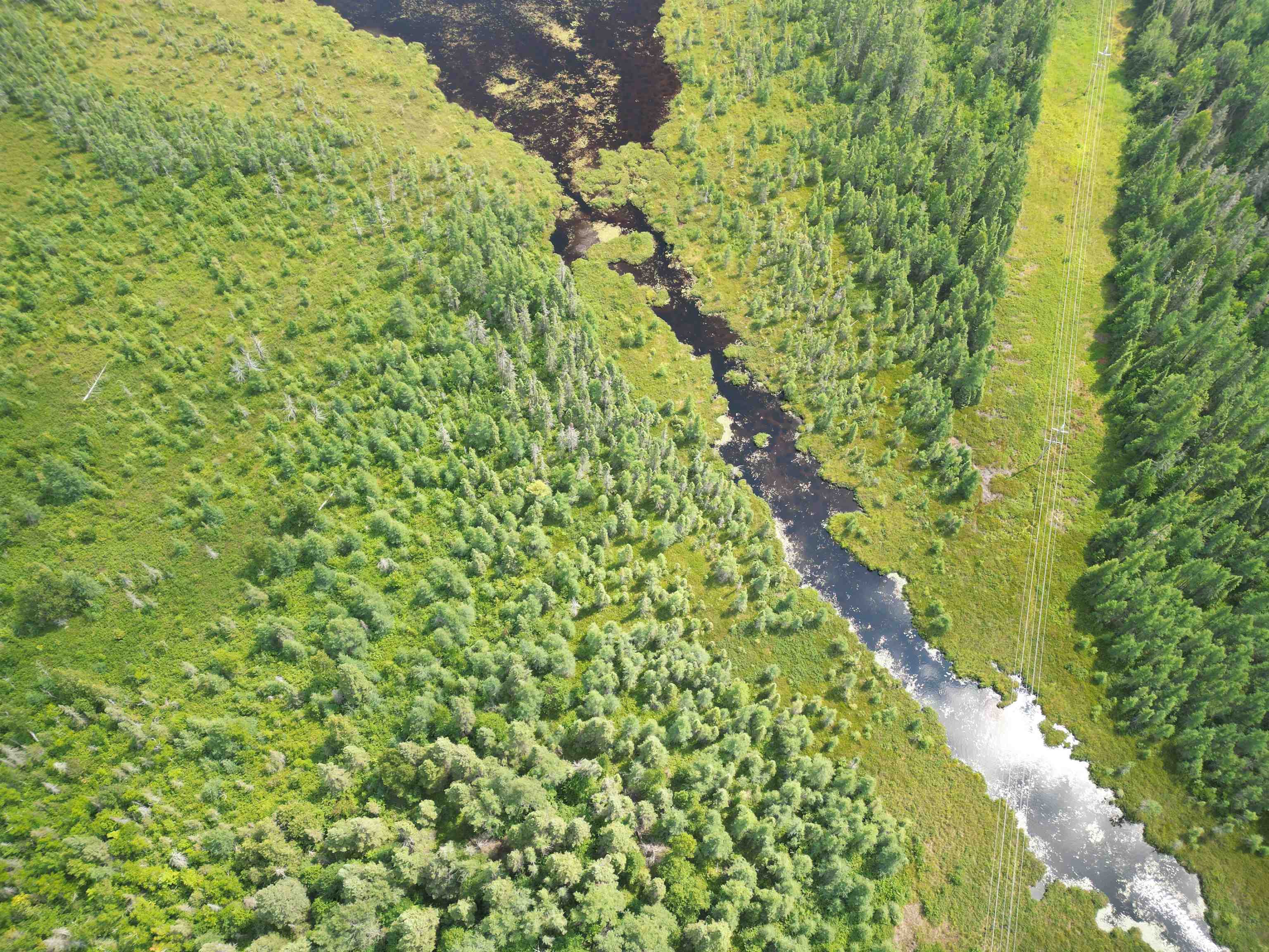 TBD Little Marais Rd Finland MN 55603 - Leskinen 6121130 image6