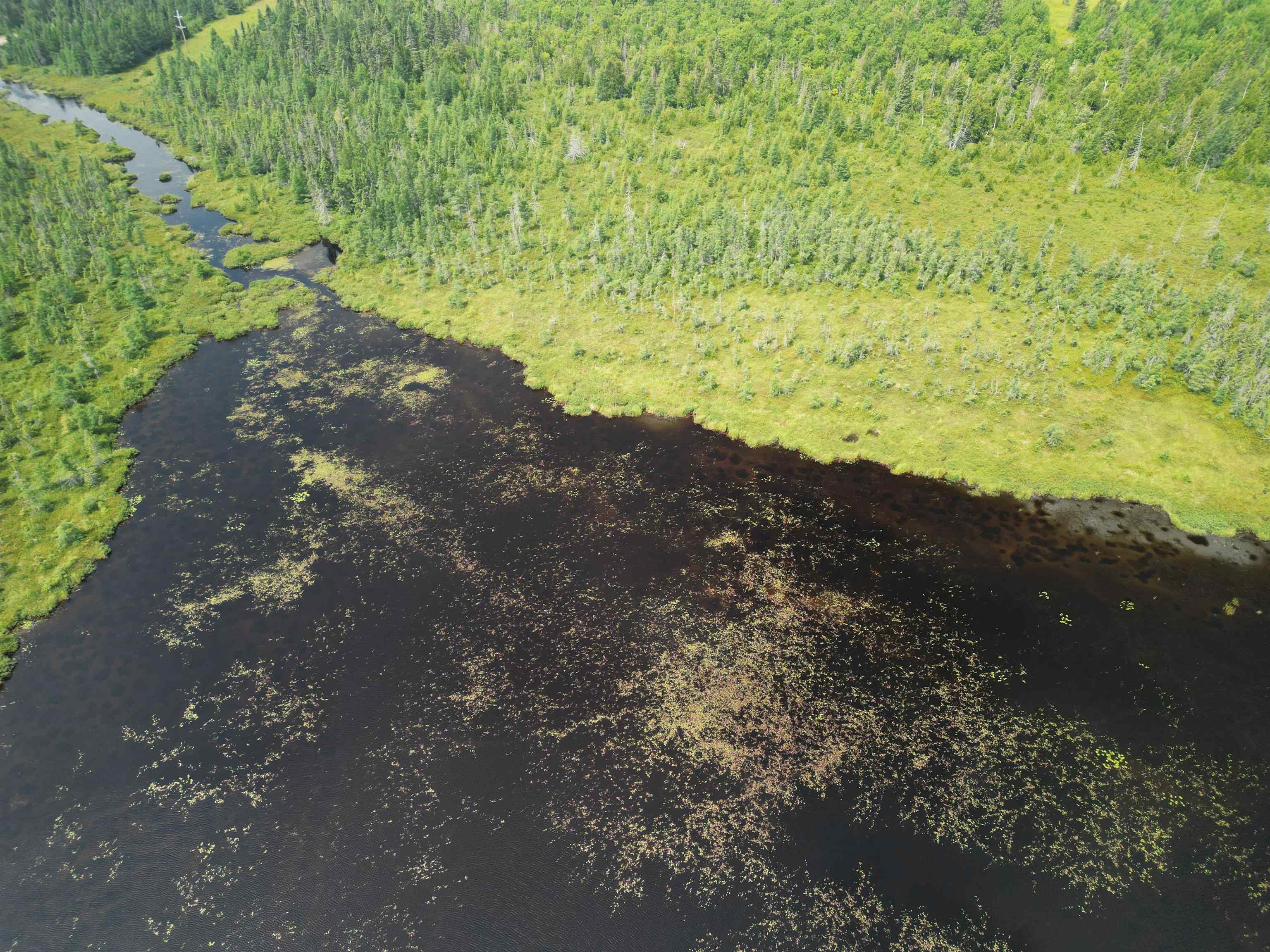 TBD Little Marais Rd Finland MN 55603 - Leskinen 6121130 image8