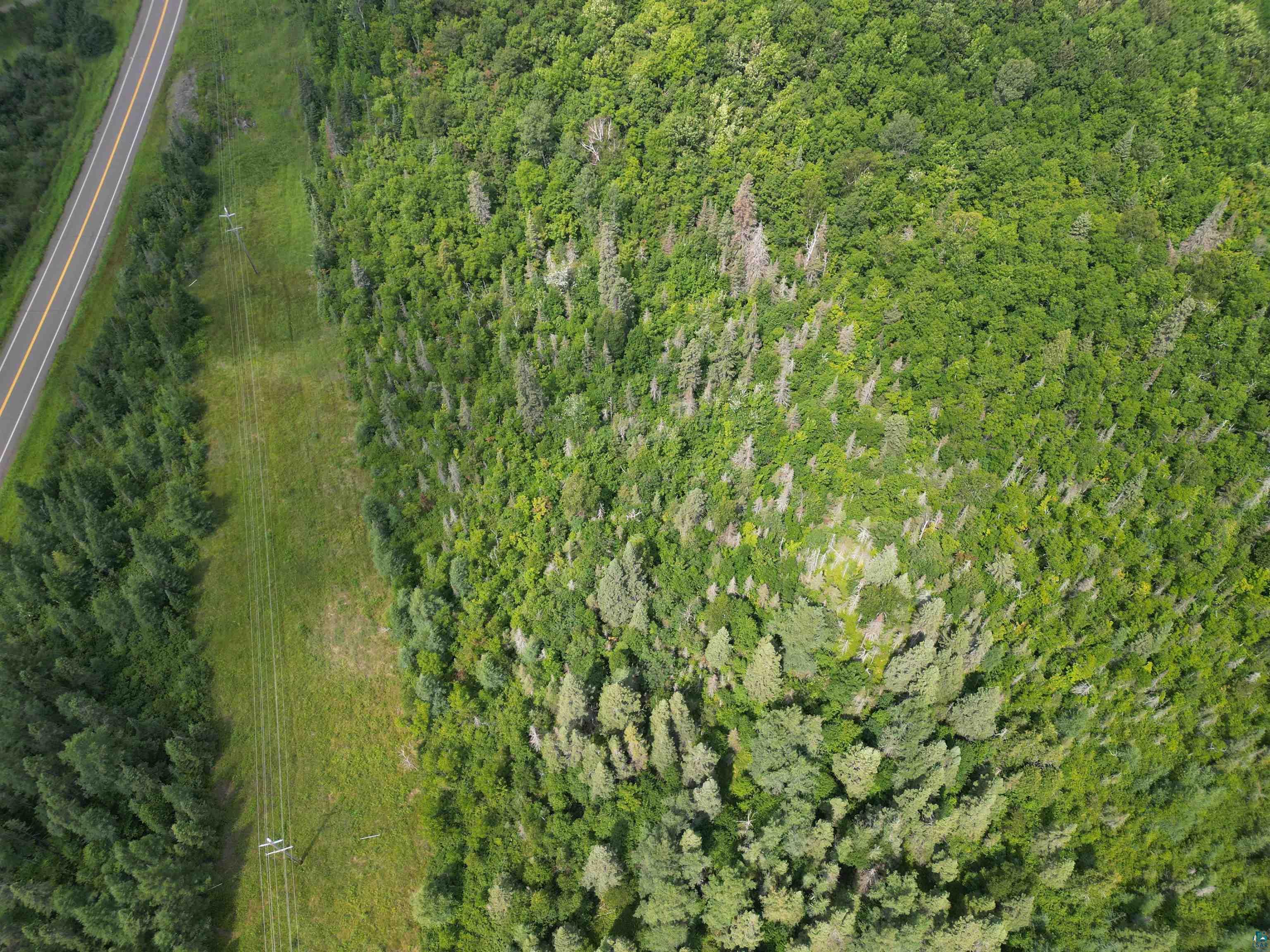 TBD Little Marais Rd Finland MN 55603 - Leskinen 6124821 image13
