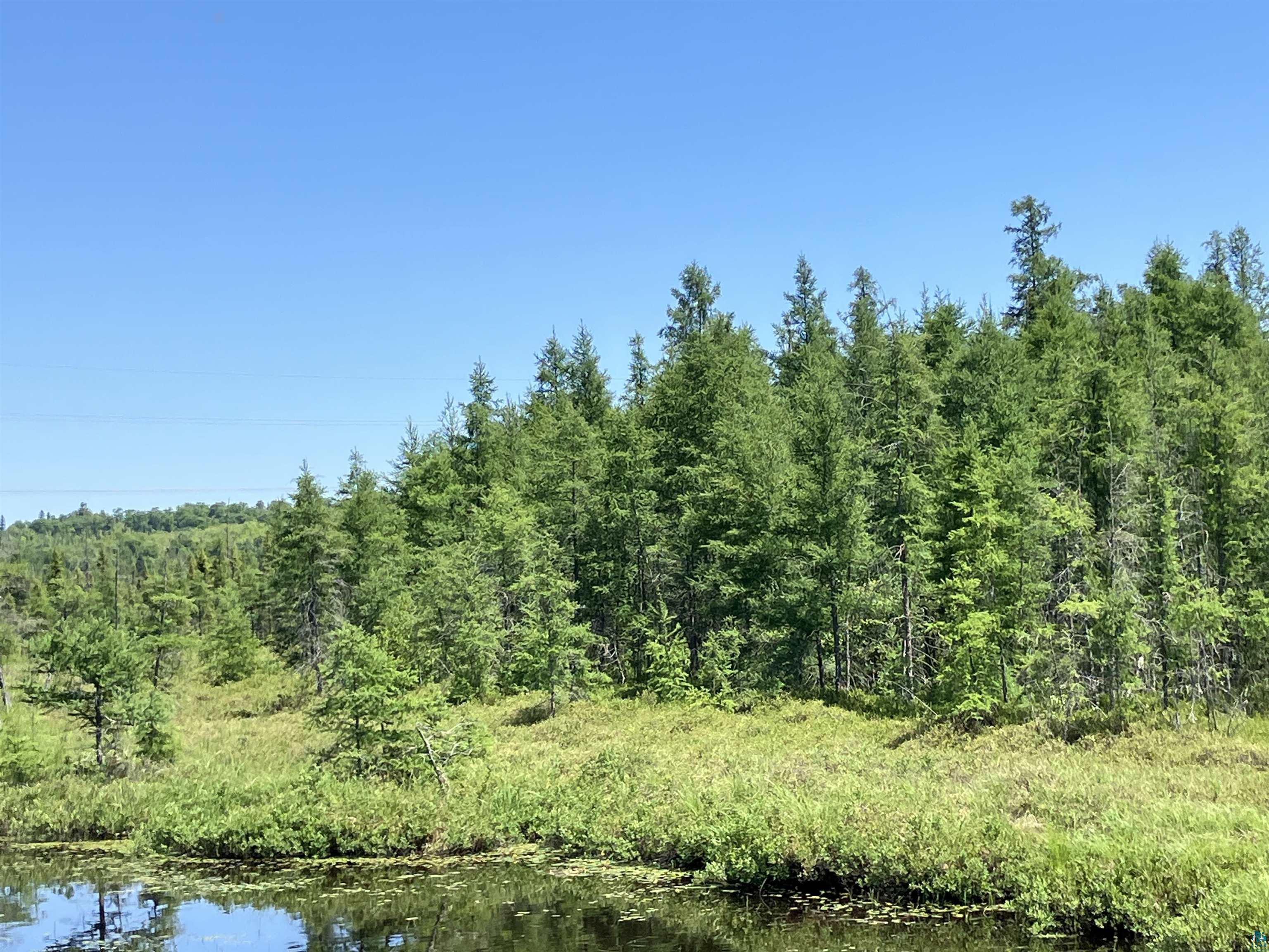 TBD Little Marais Rd Finland MN 55603 - Leskinen 6124821 image24