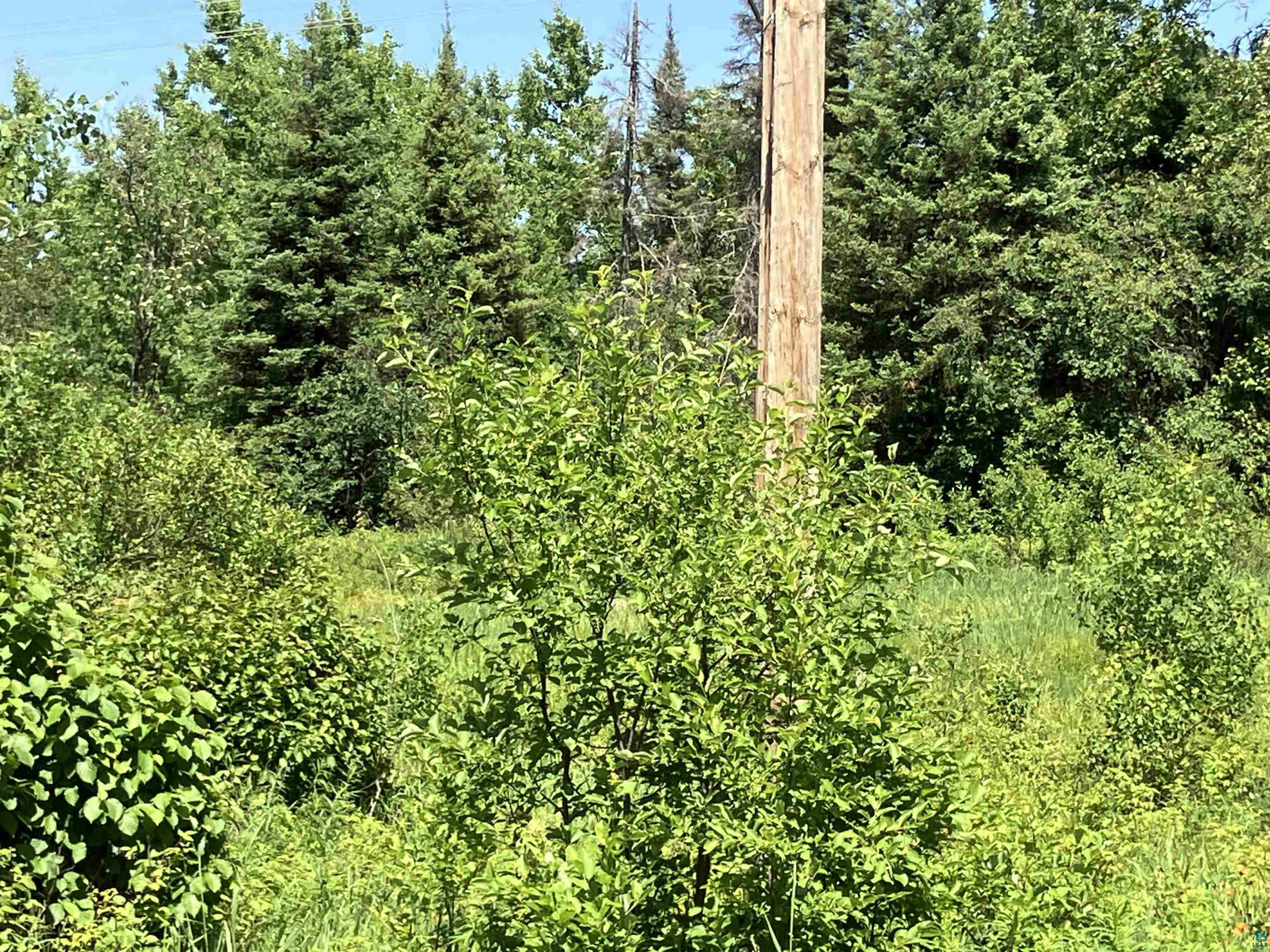 TBD Little Marais Rd Finland MN 55603 - Leskinen 6124821 image25