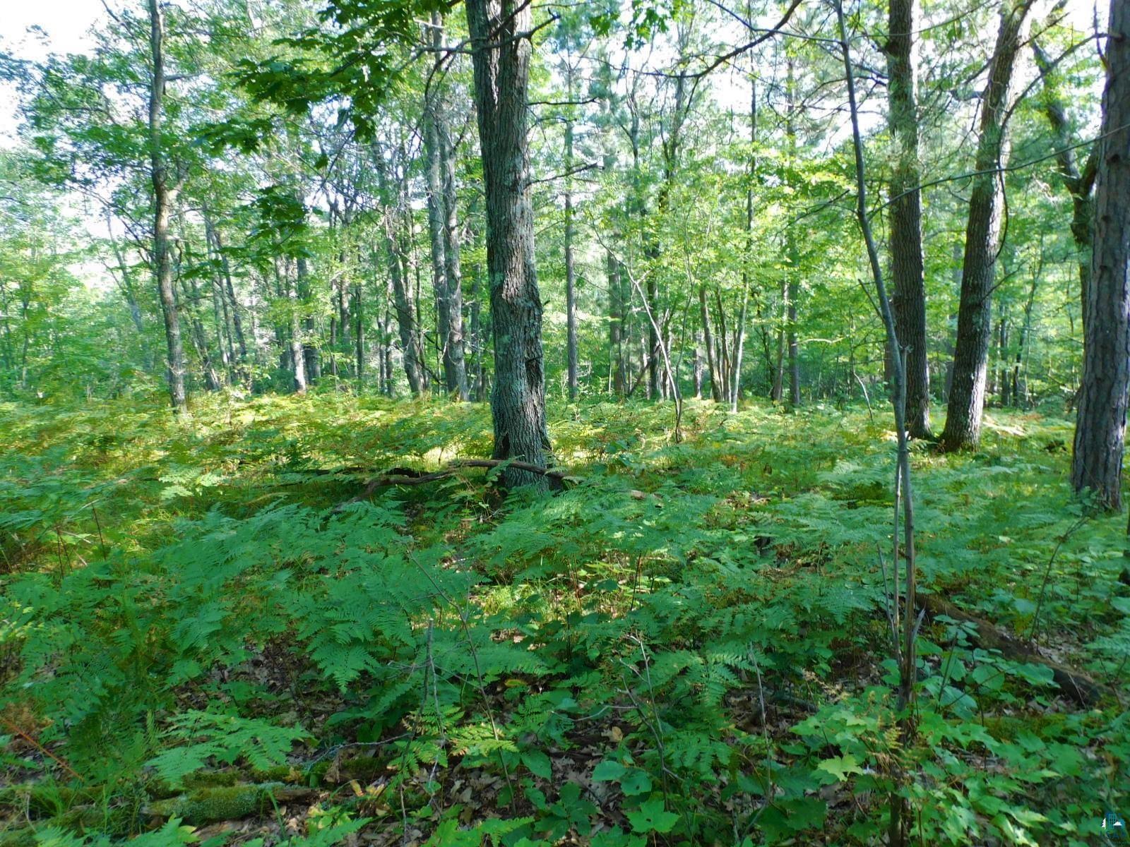 TBD Lot #2 Tressel Trail Iron River WI 54847 6122641 image5