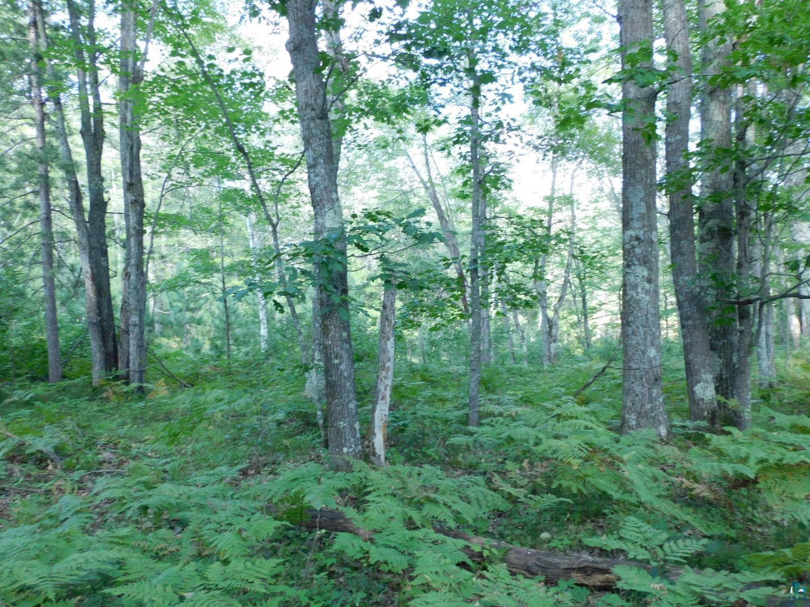 TBD Lot #2 Tressel Trail Iron River WI 54847 6122641 image7