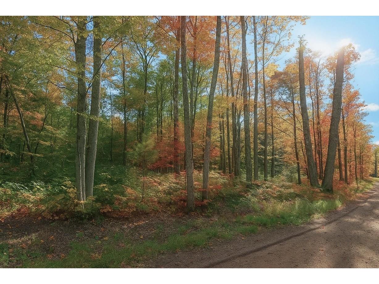 TBD Lot #4 Tressel Trail Iron River WI 54847 6122642 image3
