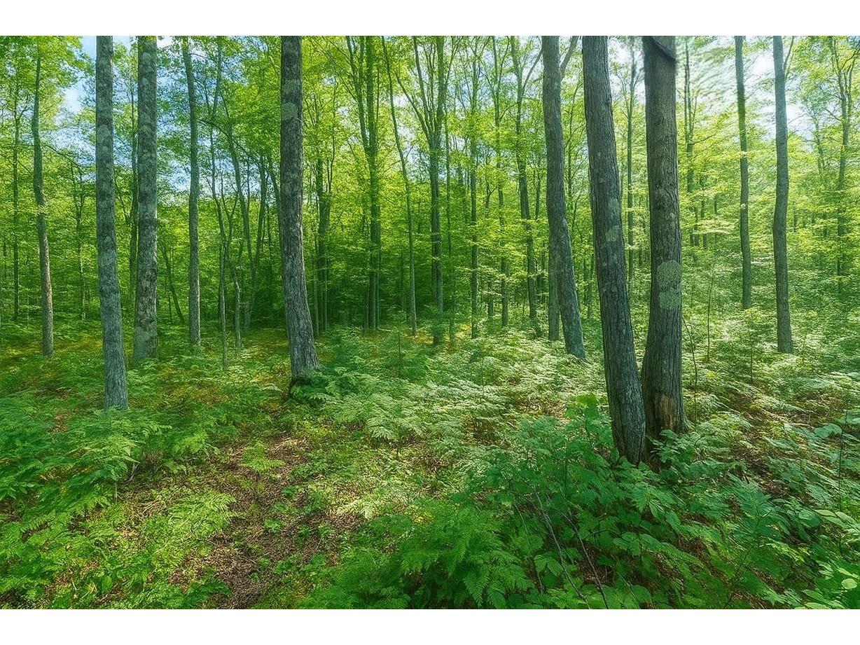 TBD Lot #4 Tressel Trail Iron River WI 54847 6122642 image6