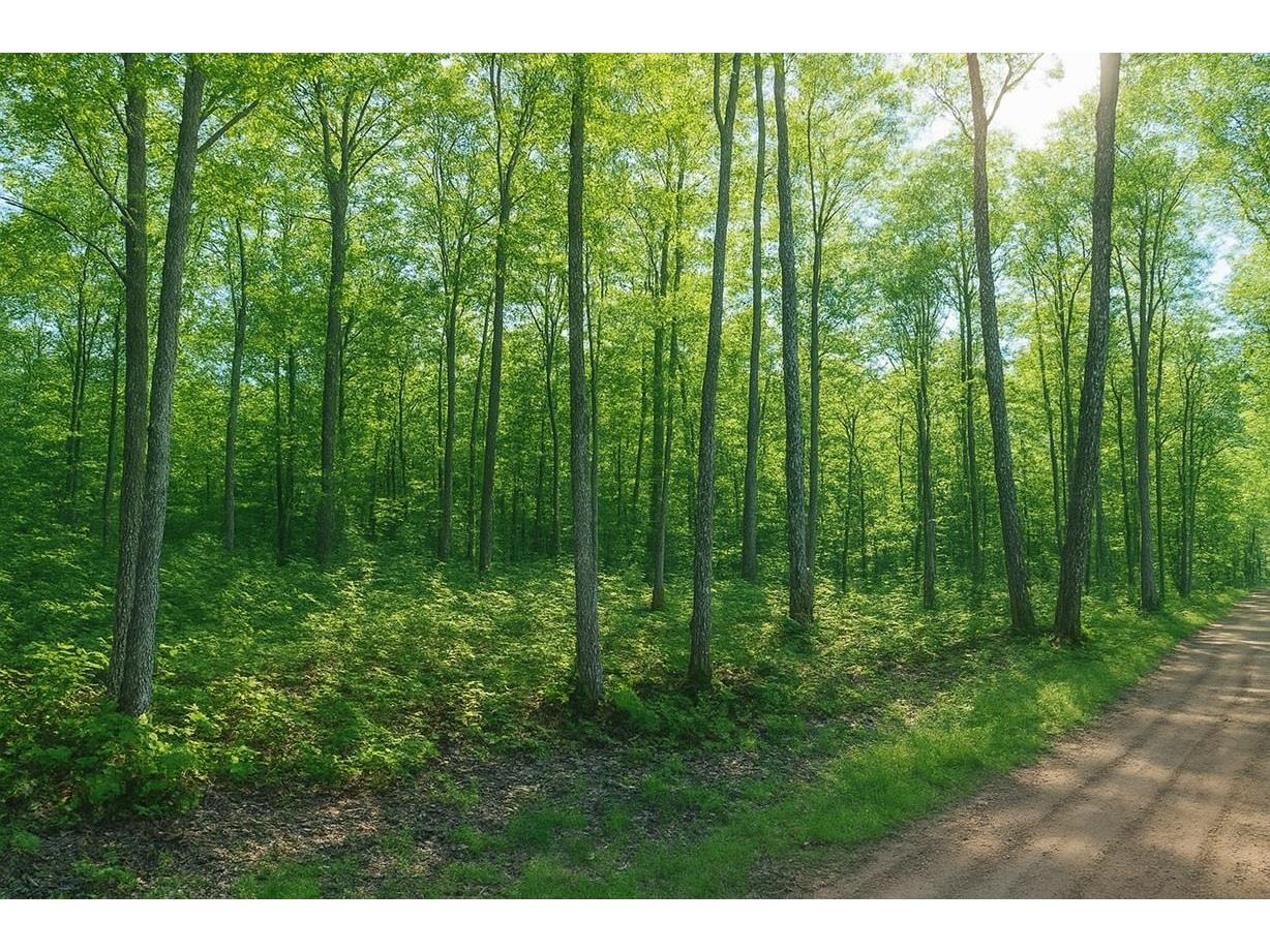 TBD Lot #4 Tressel Trail Iron River WI 54847 6122642 image8