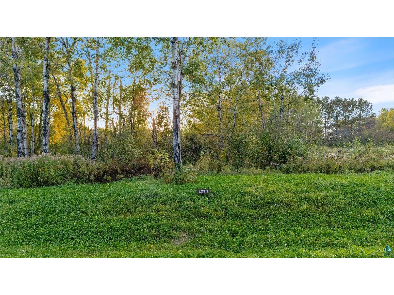TBD Jenny Farms Ln Hermantown MN 55810 6124143 image1