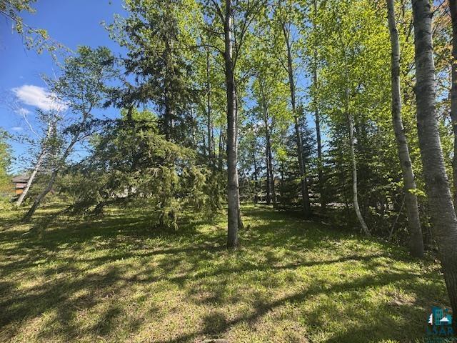 TBD Meadow Dr Hibbing MN 55746 6123759 image2