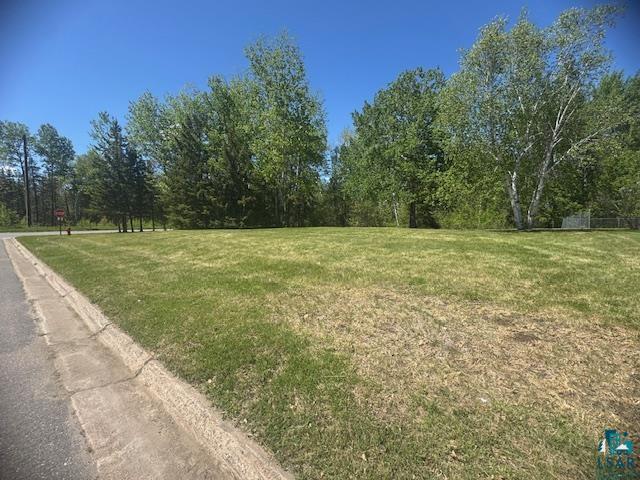 TBD Meadow Dr Hibbing MN 55746 6123759 image4