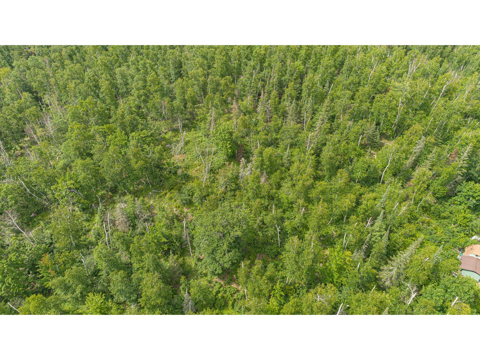 TBD Moose Creek Tr Ely MN 55731 - Clear Lake 6113305 image19