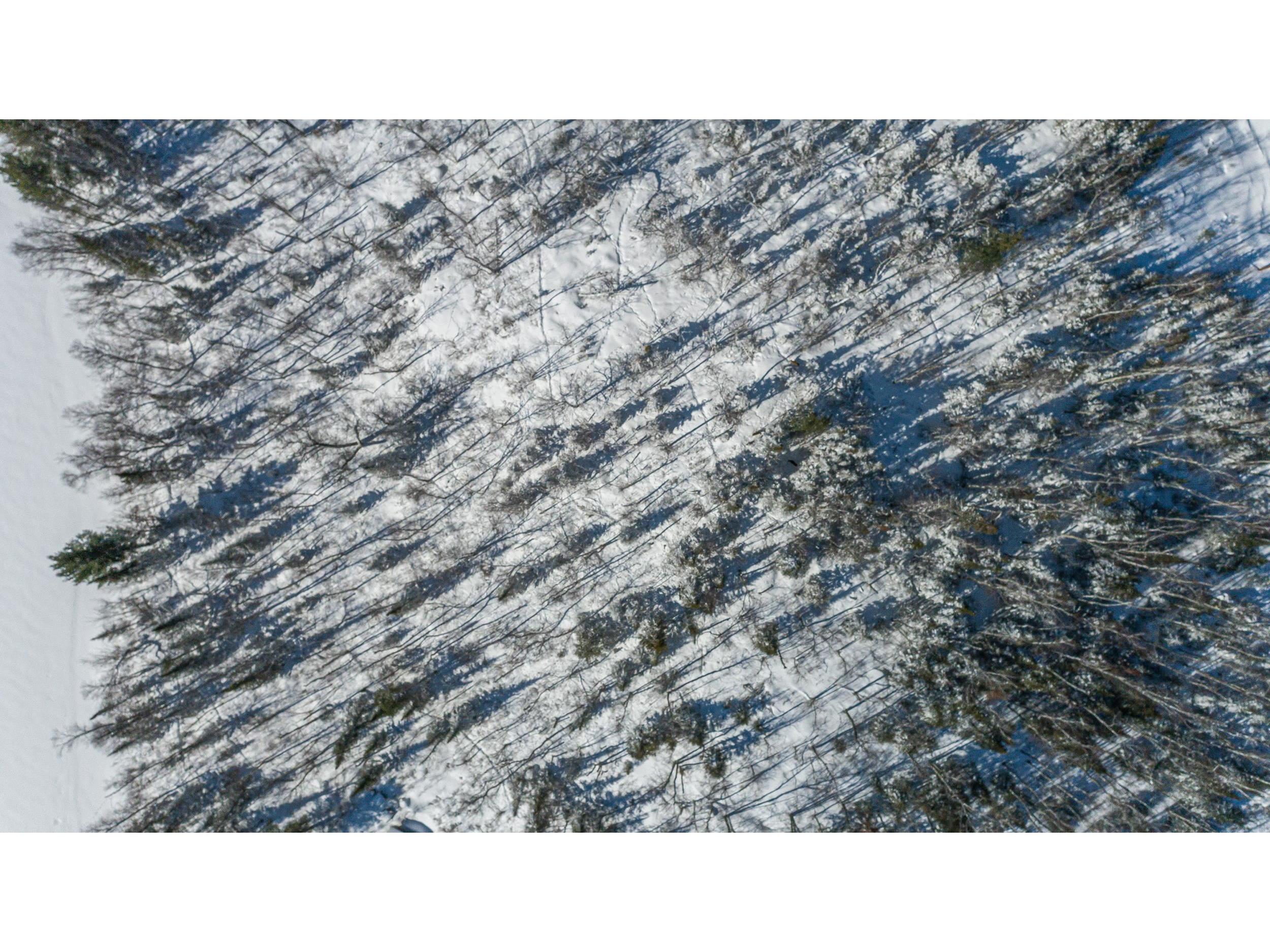 TBD Moose Creek Tr Ely MN 55731 - Clear Lake 6113305 image29