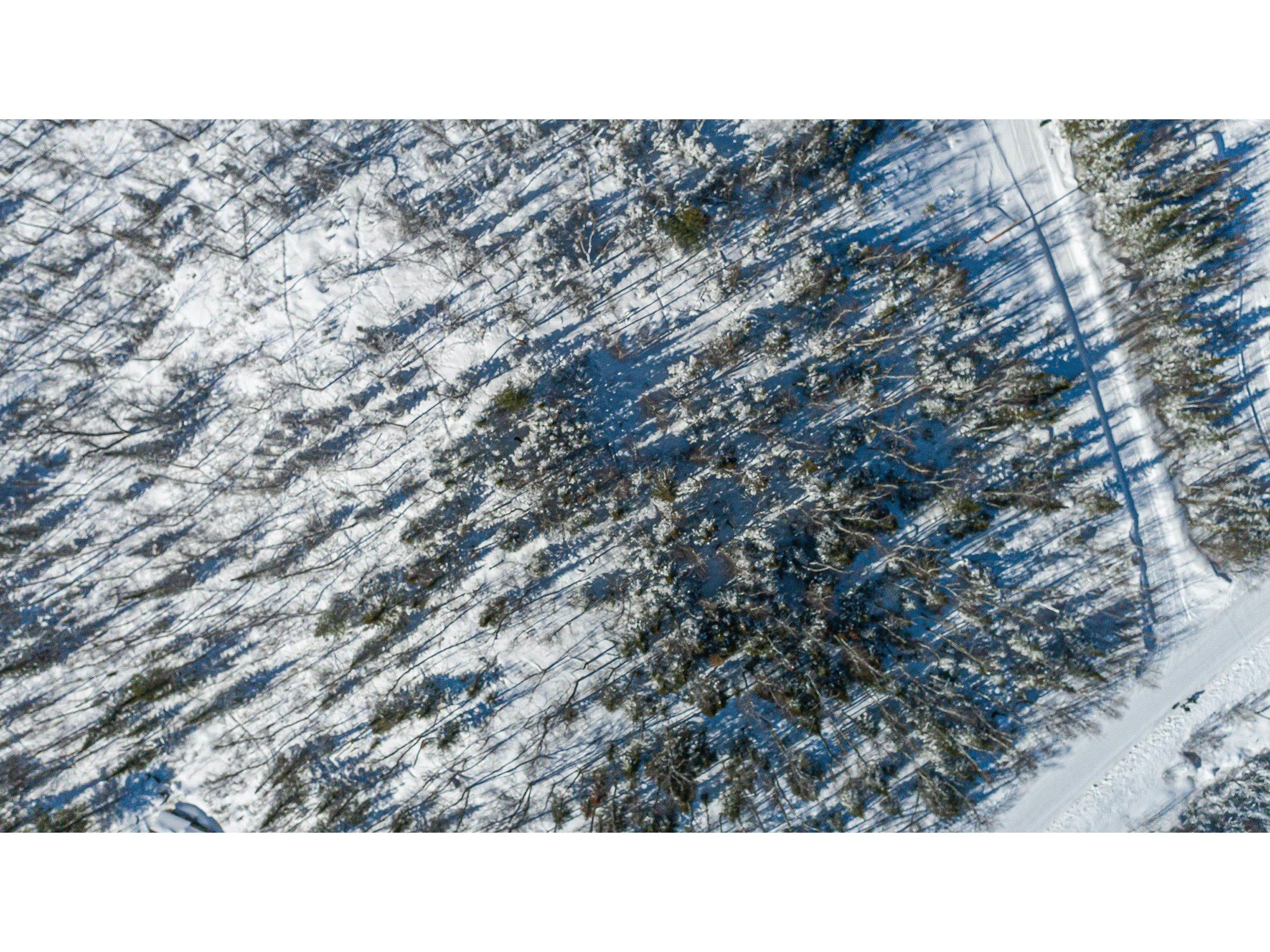 TBD Moose Creek Tr Ely MN 55731 - Clear Lake 6113305 image30